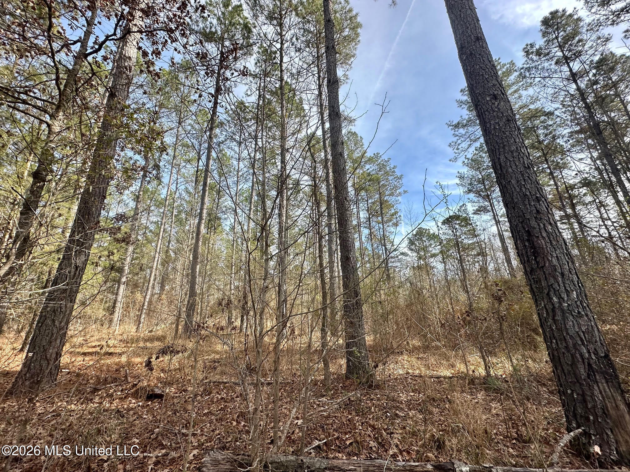 01 Prentiss Crump Road Property Photo 6