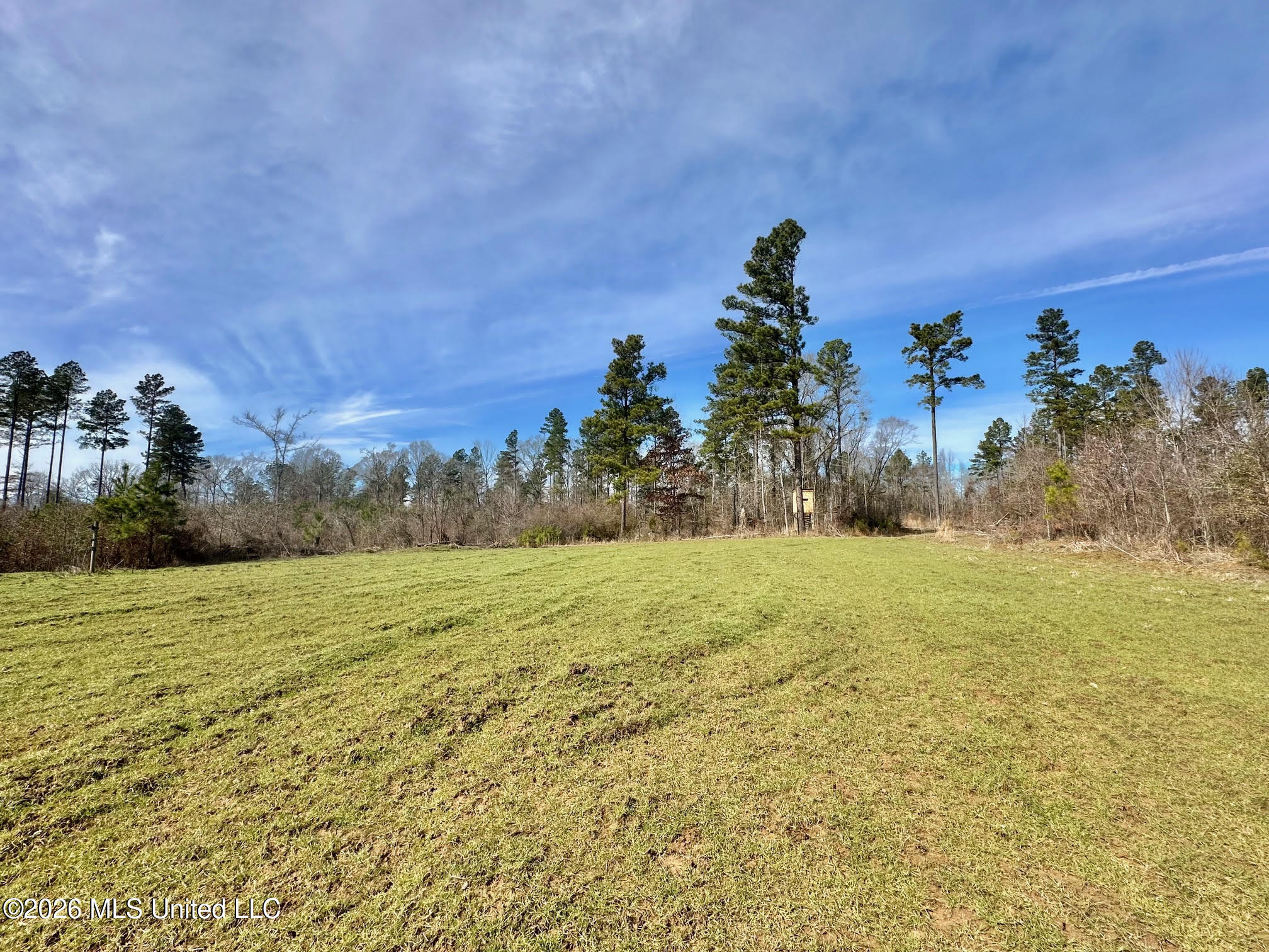01 Prentiss Crump Road Property Photo 10