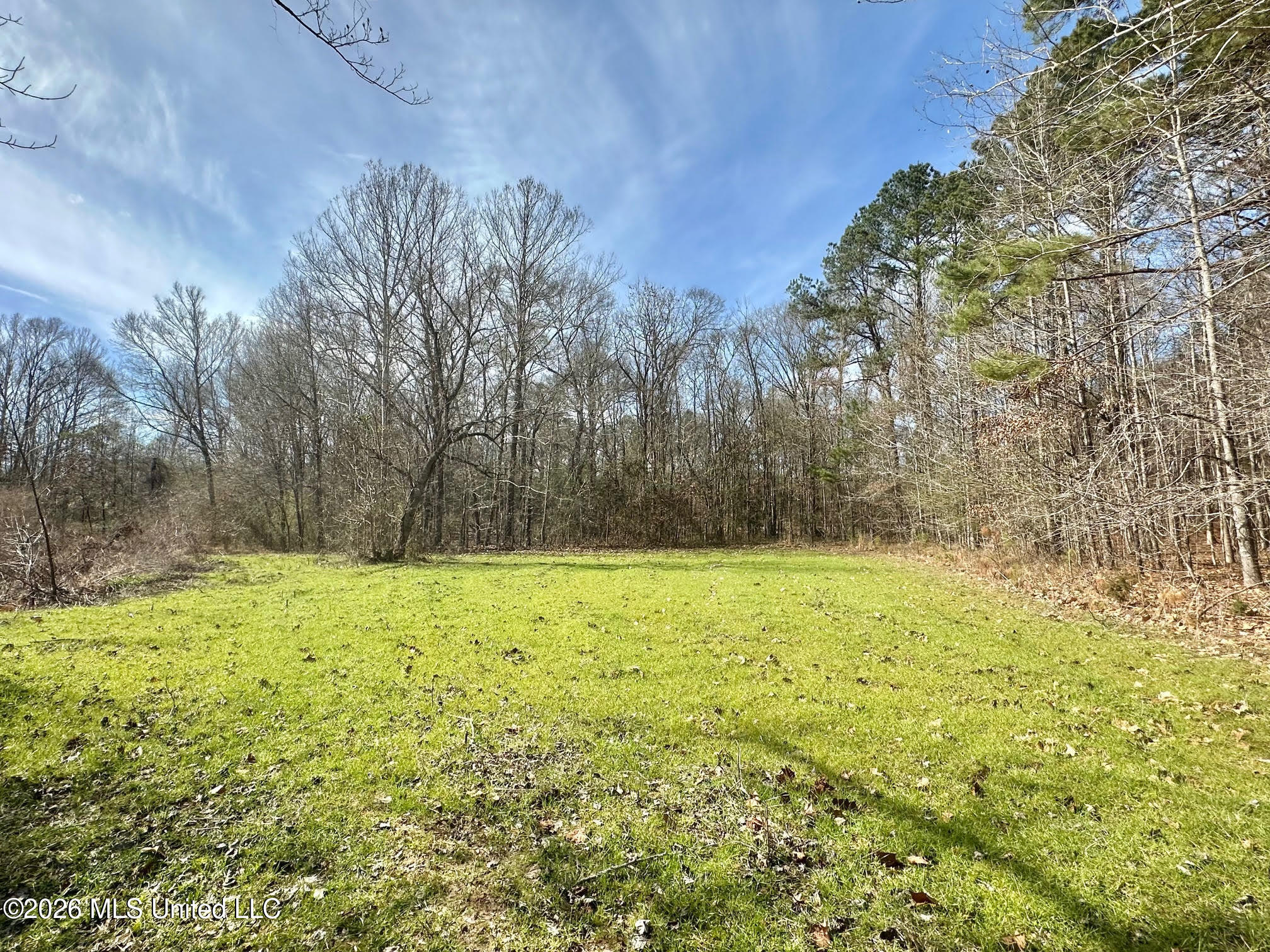 01 Prentiss Crump Road Property Photo 14