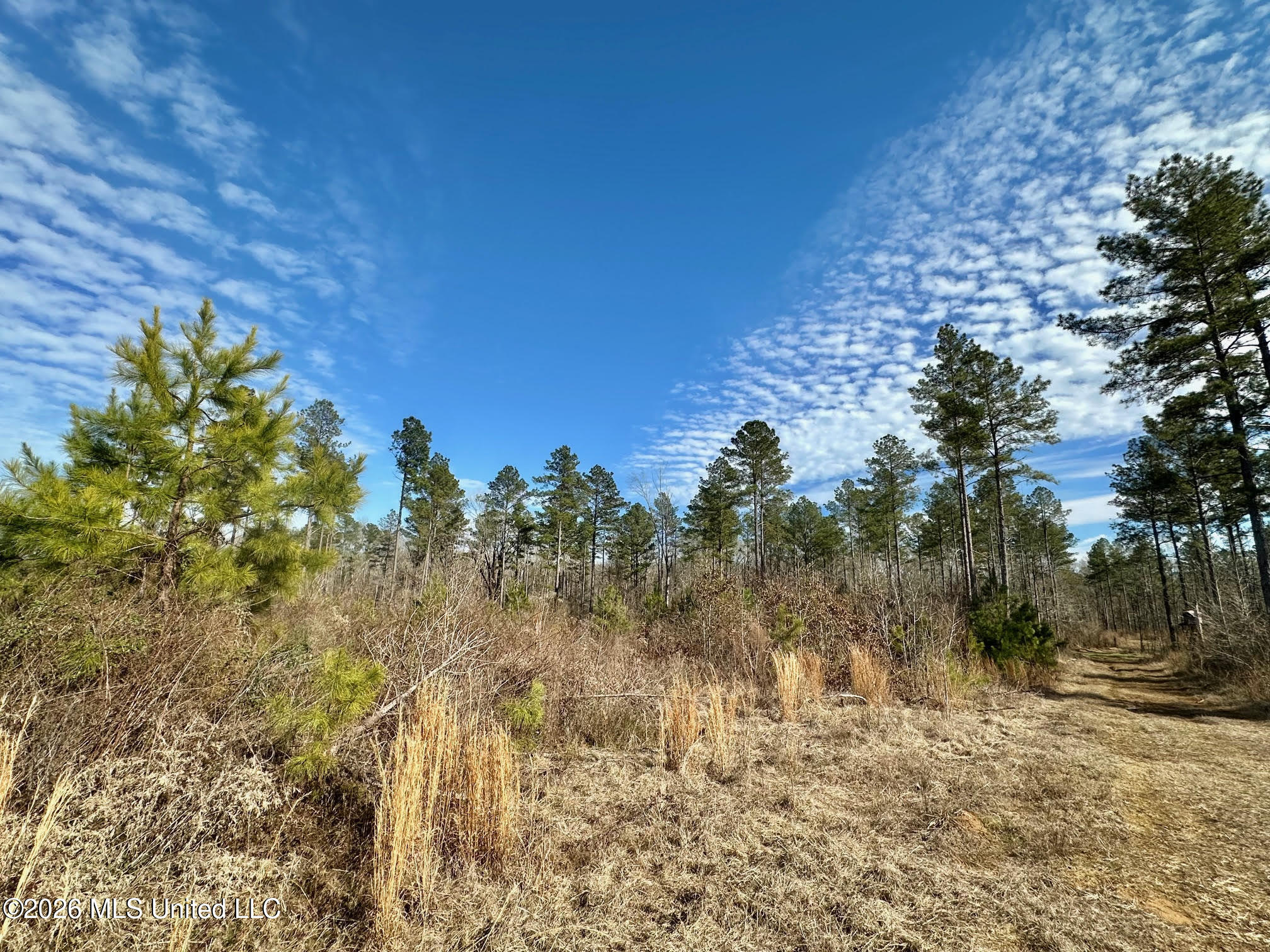 01 Prentiss Crump Road Property Photo 20