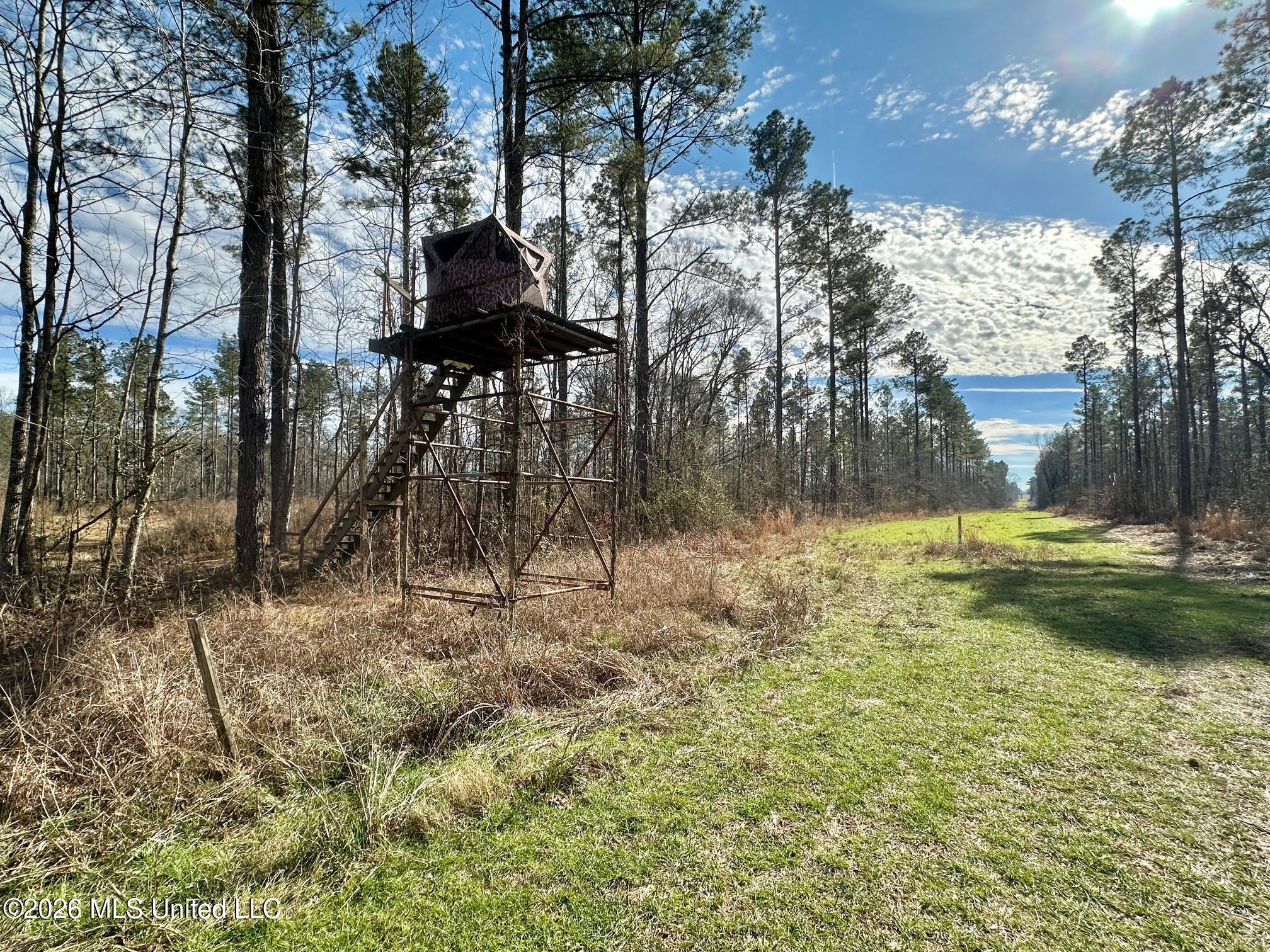 01 Prentiss Crump Road Property Photo 22