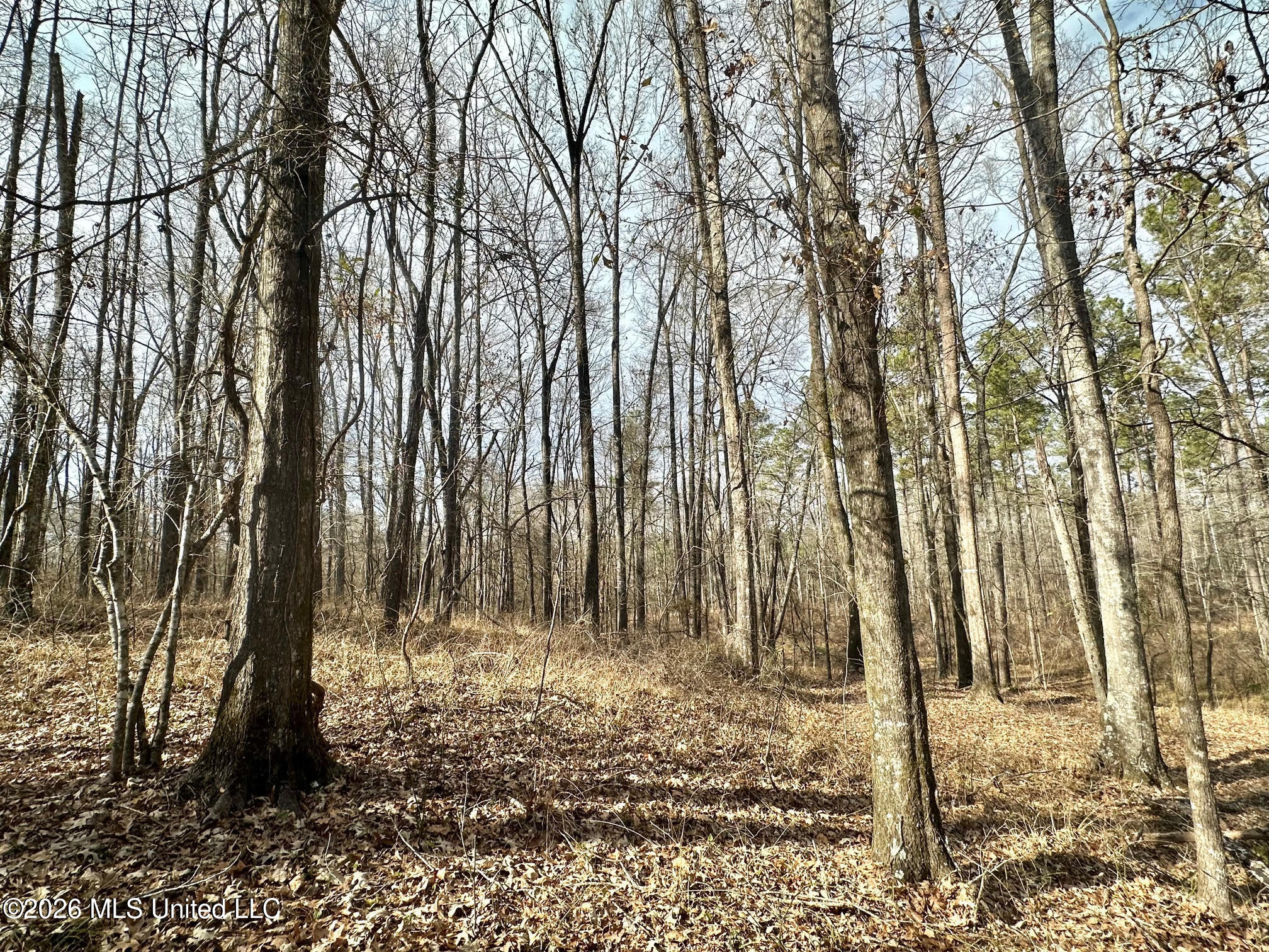 01 Prentiss Crump Road Property Photo 25