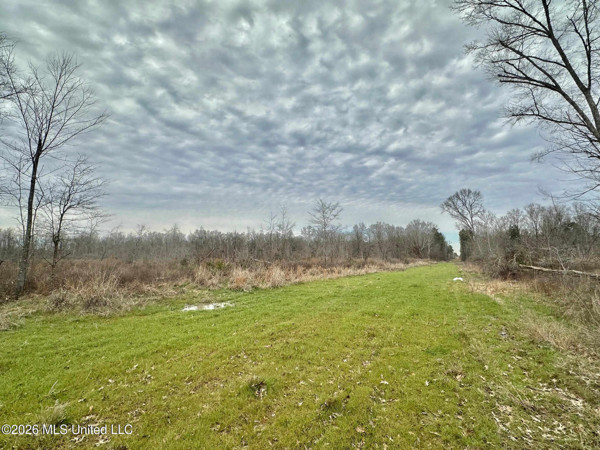 01 Prentiss Crump Road Property Photo 26