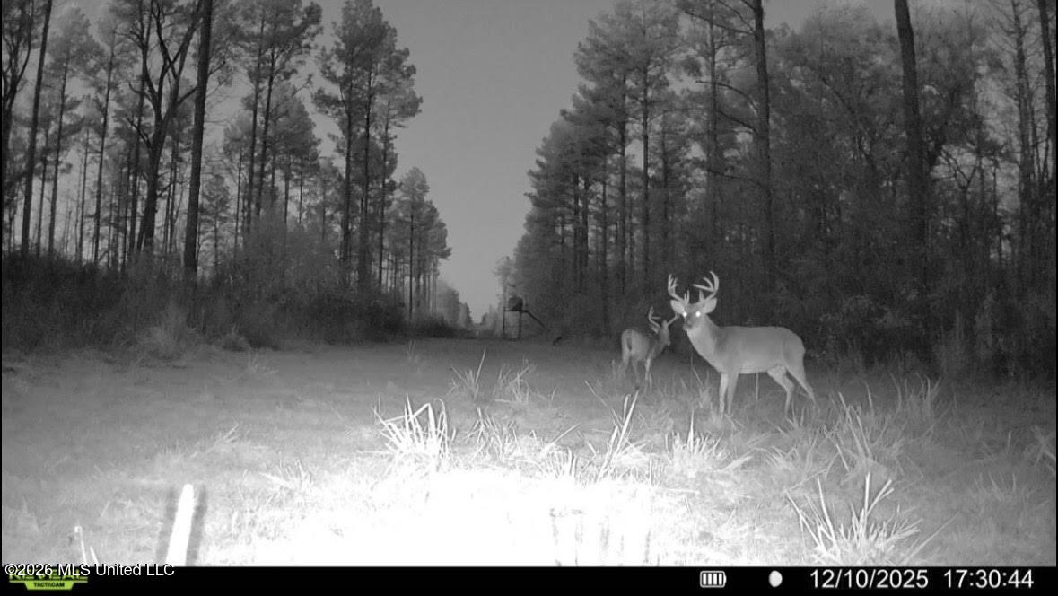 01 Prentiss Crump Road Property Photo 31