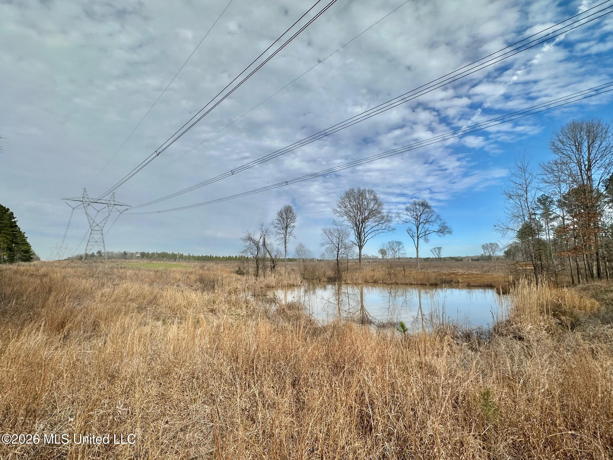 001 Dry Grove Road Property Photo 18