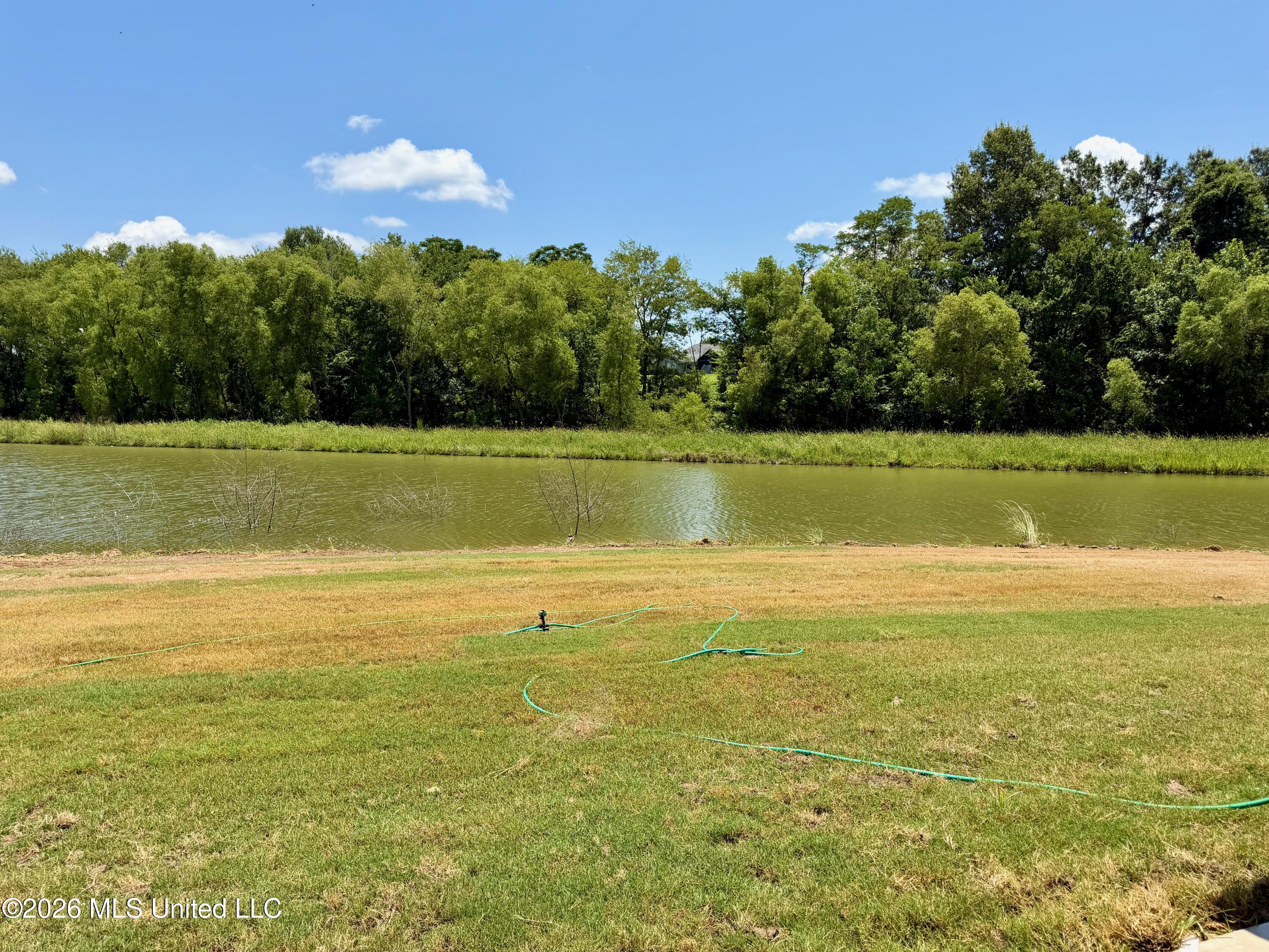 506 Friar's Cove Property Photo 3