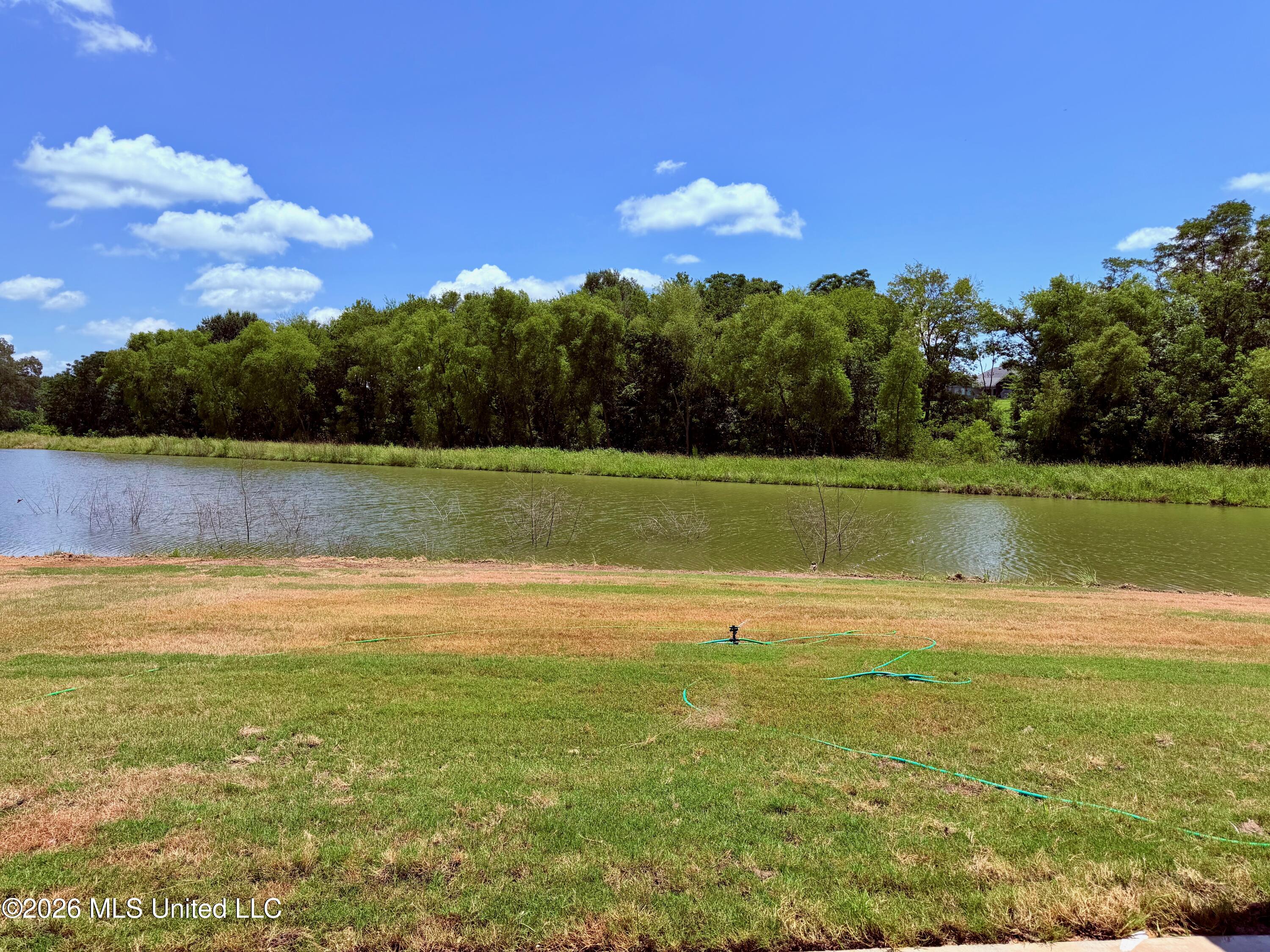 506 Friar's Cove Property Photo 5