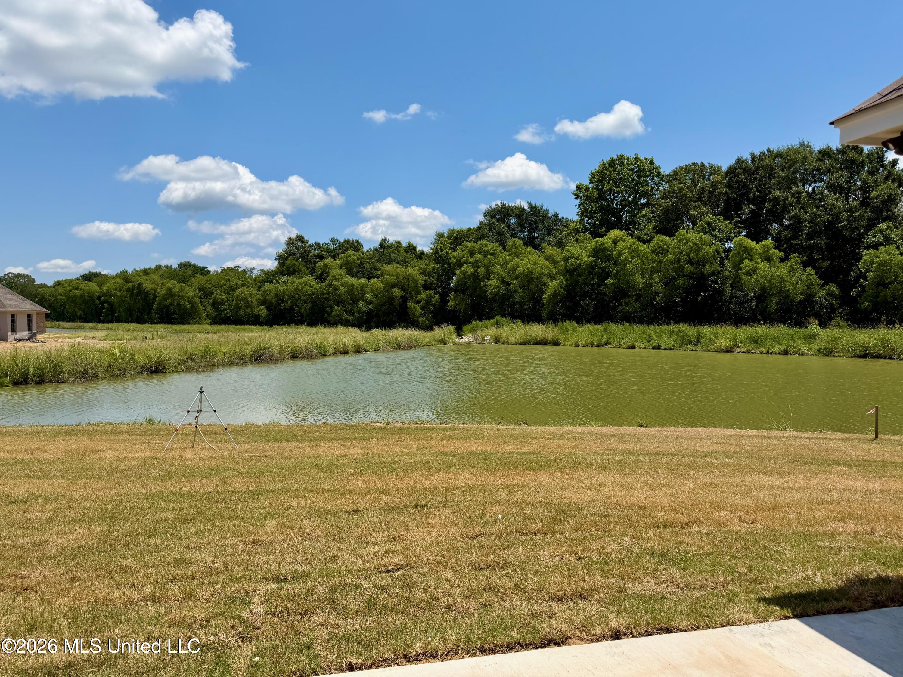 404 Alta Vista Property Photo 4