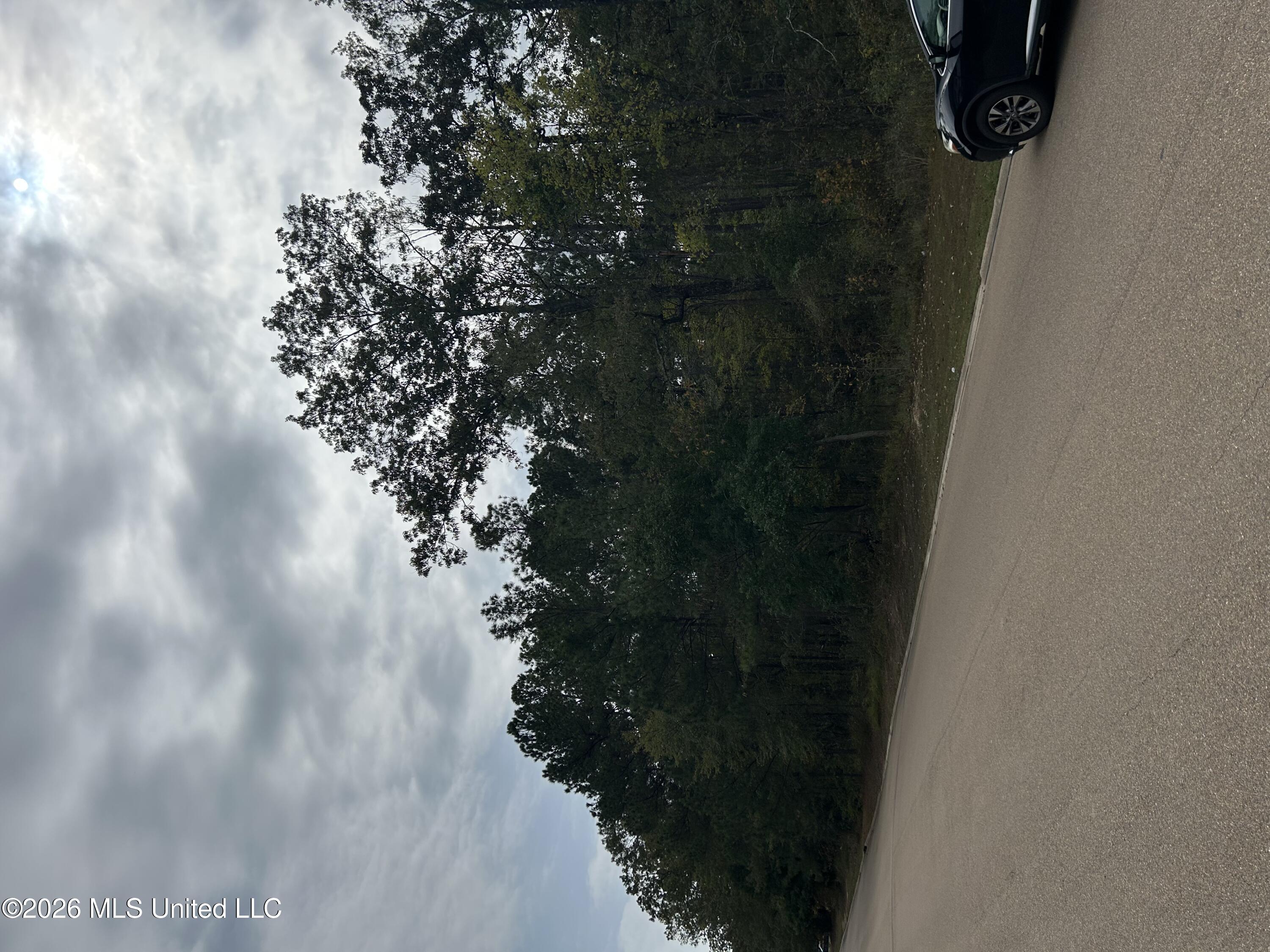 Old Fannin Road Property Photo 2