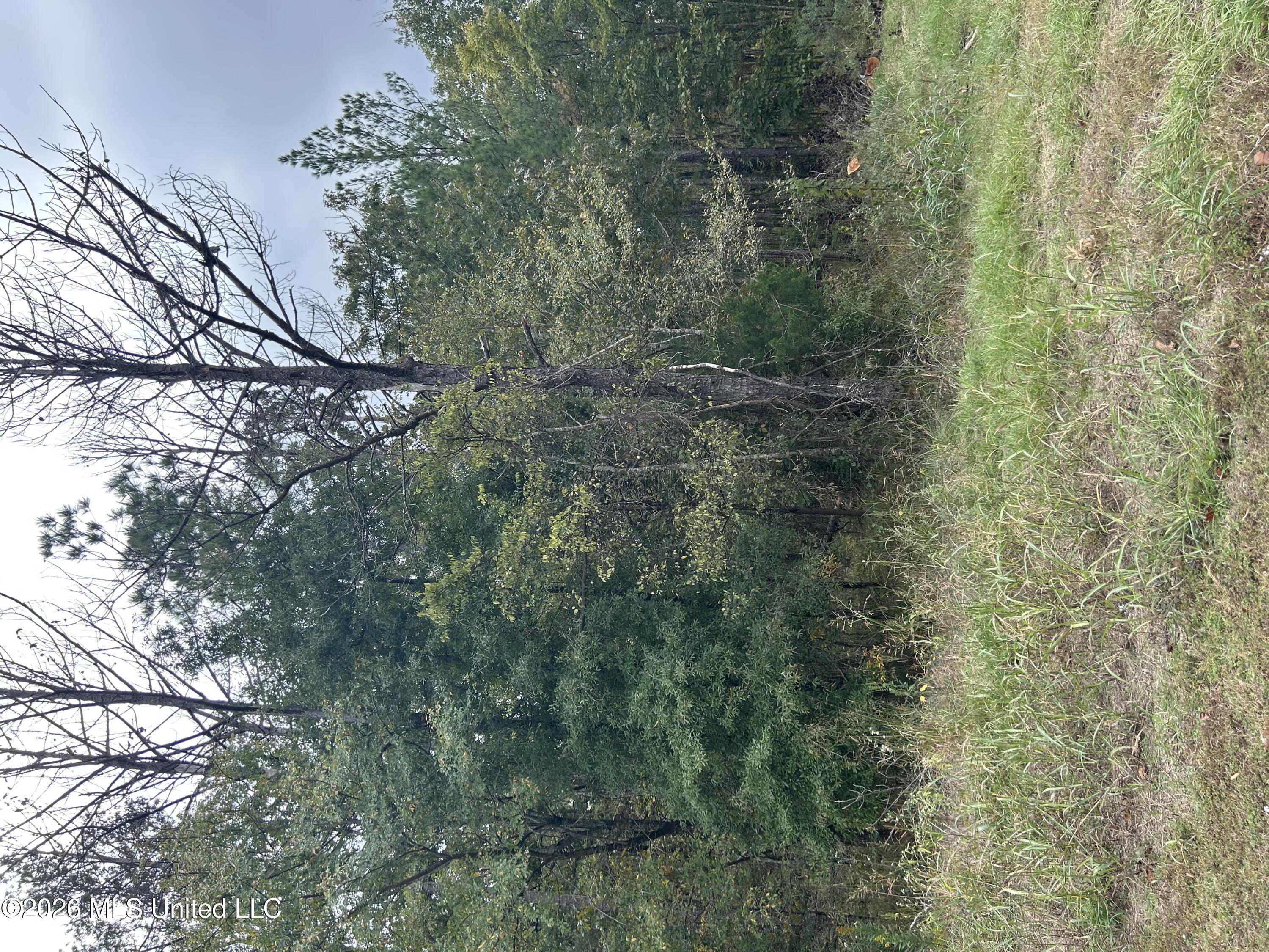 Old Fannin Road Property Photo 3
