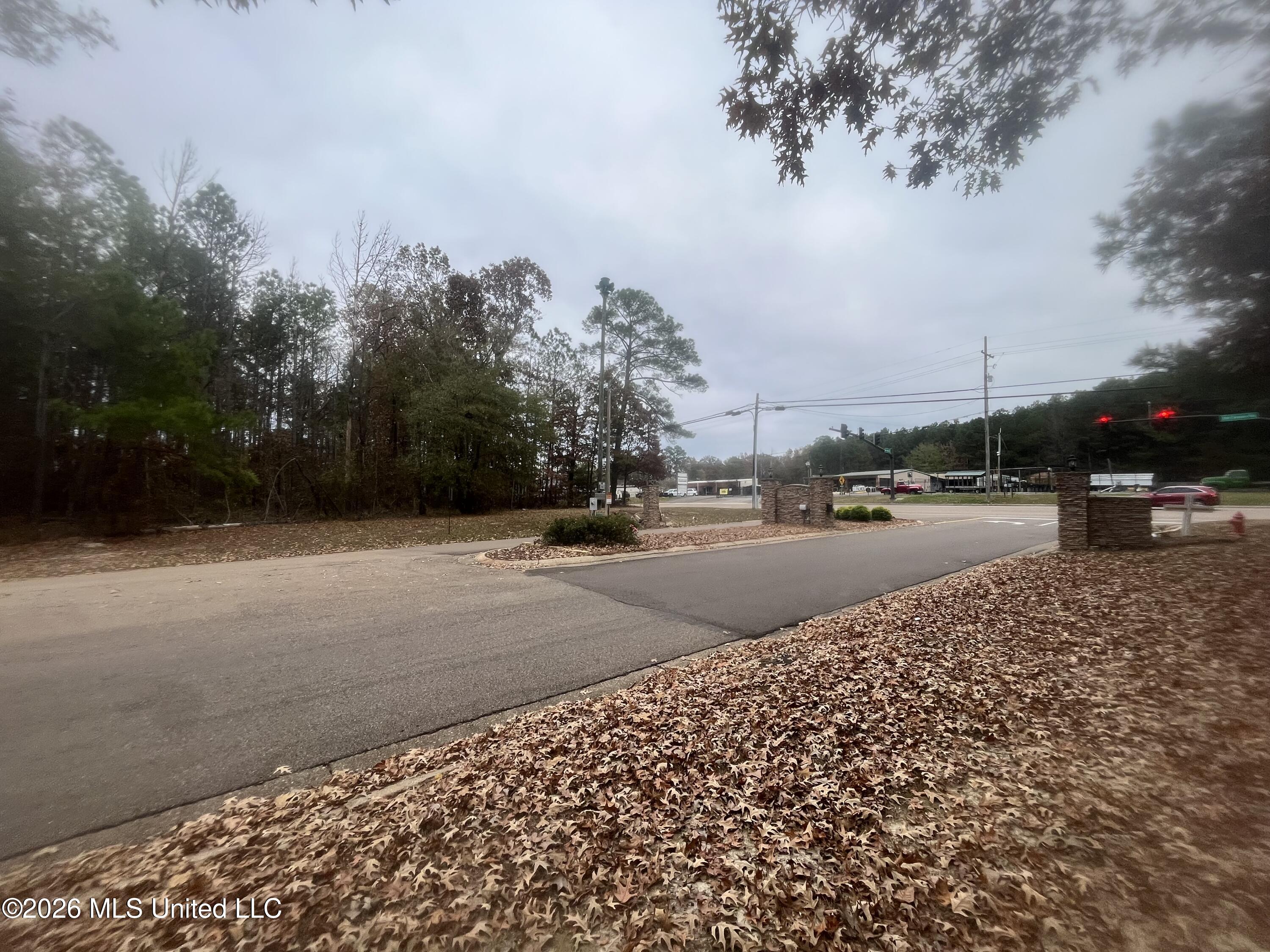 Old Fannin Road Property Photo 4