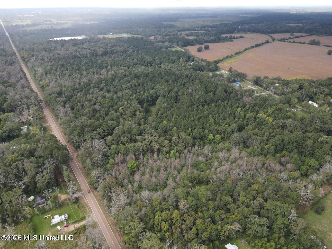 Mississippi 35 Property Photo 3