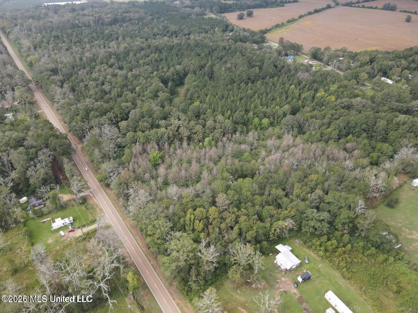 Mississippi 35 Property Photo 4