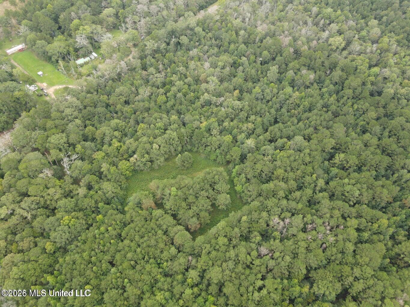 Mississippi 35 Property Photo 6