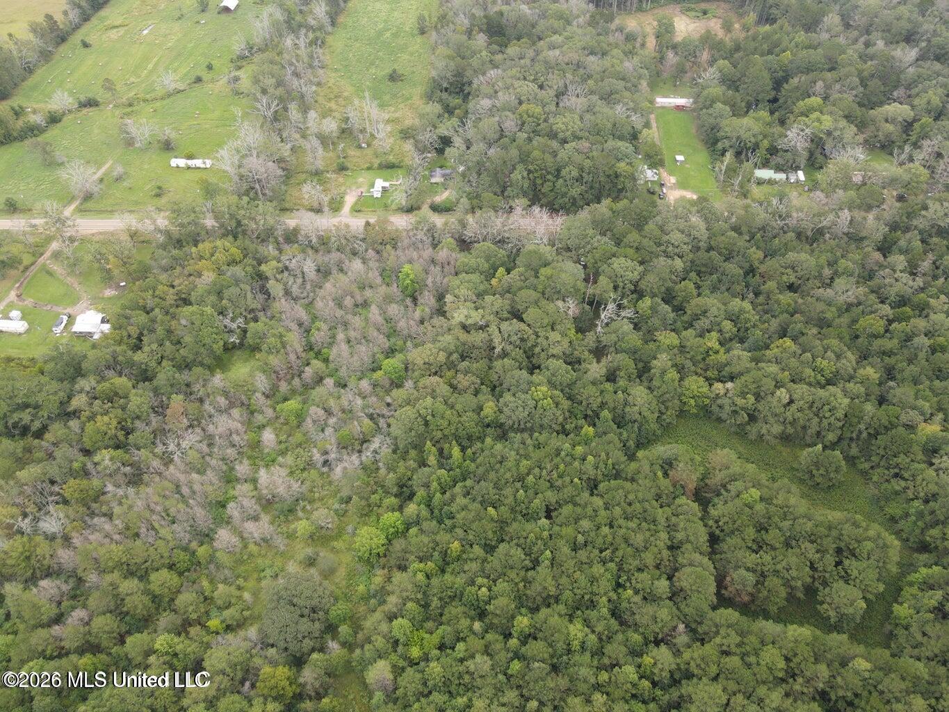 Mississippi 35 Property Photo 7