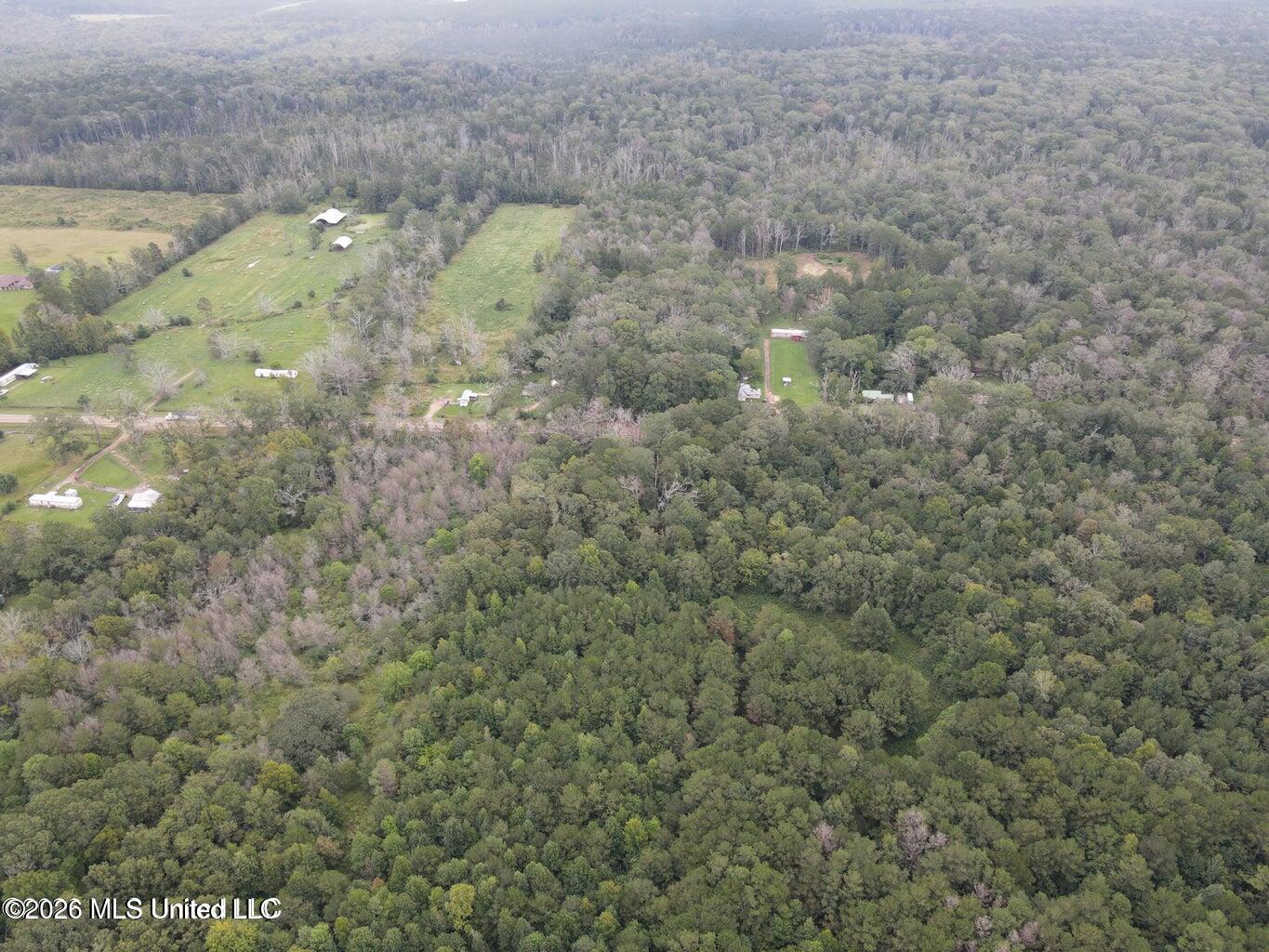 Mississippi 35 Property Photo 10