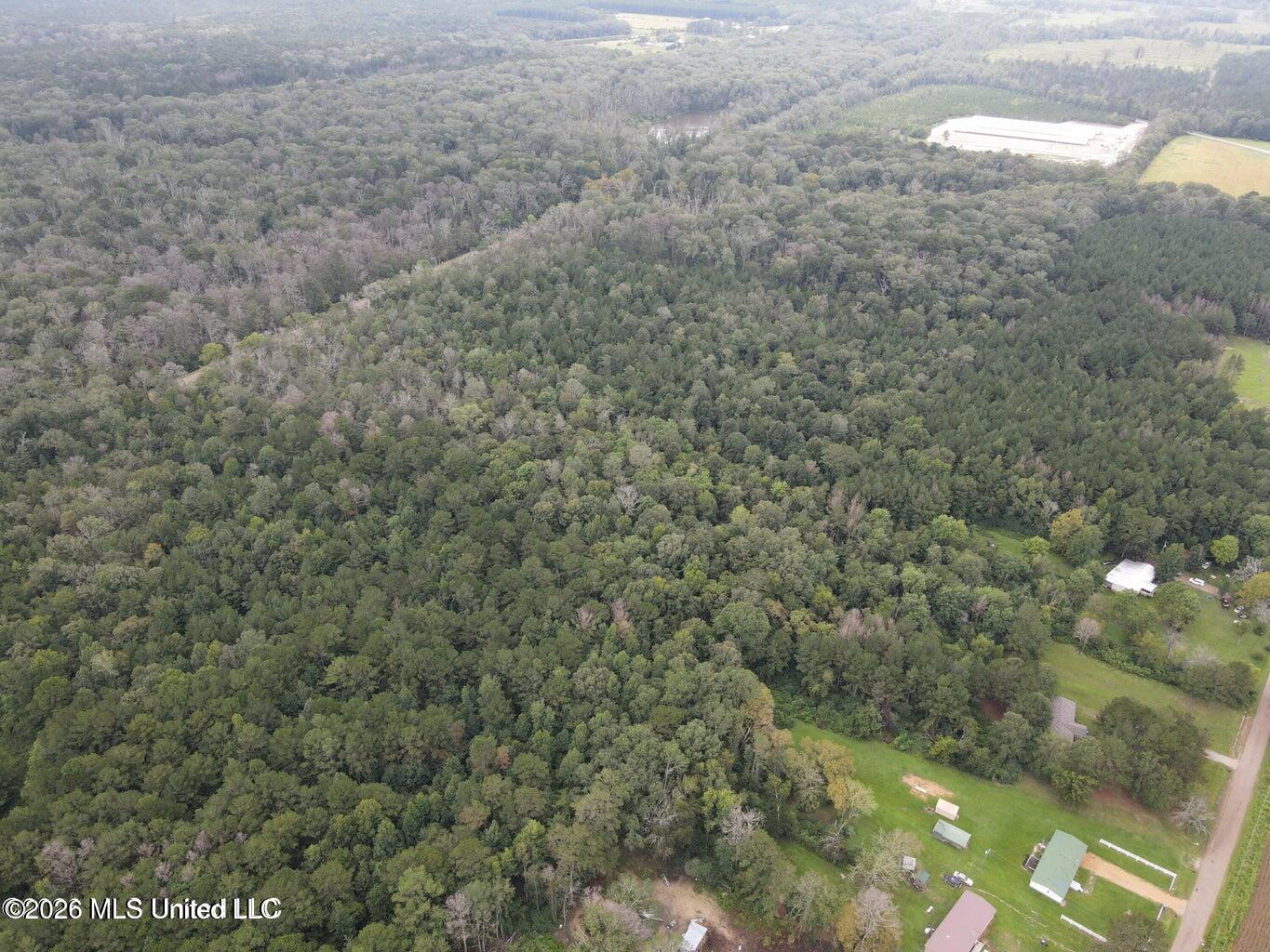Mississippi 35 Property Photo 11