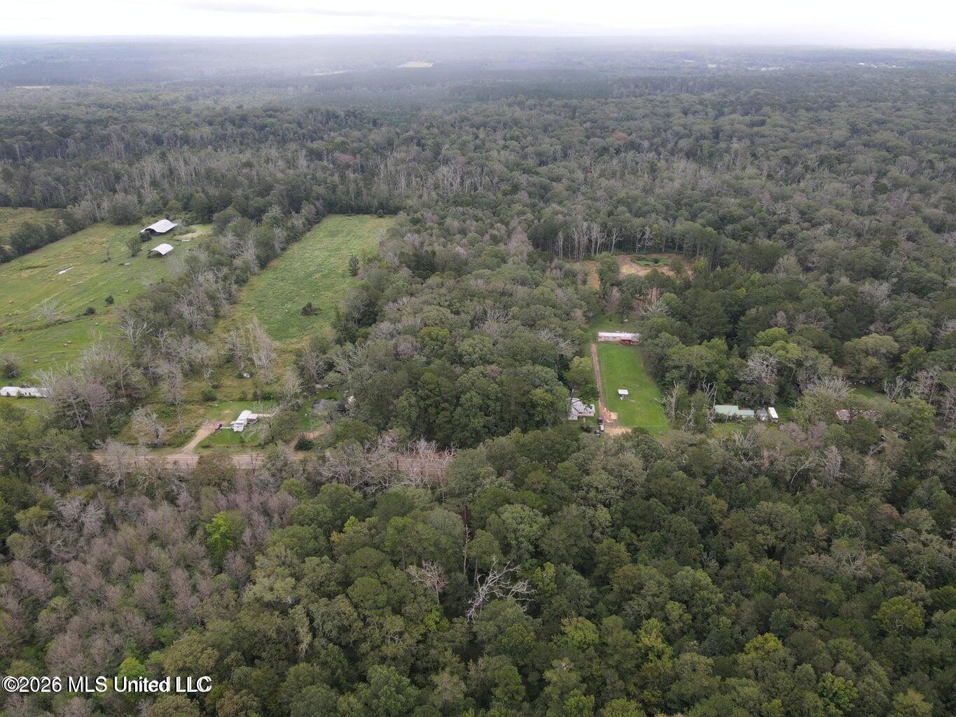 Mississippi 35 Property Photo 15