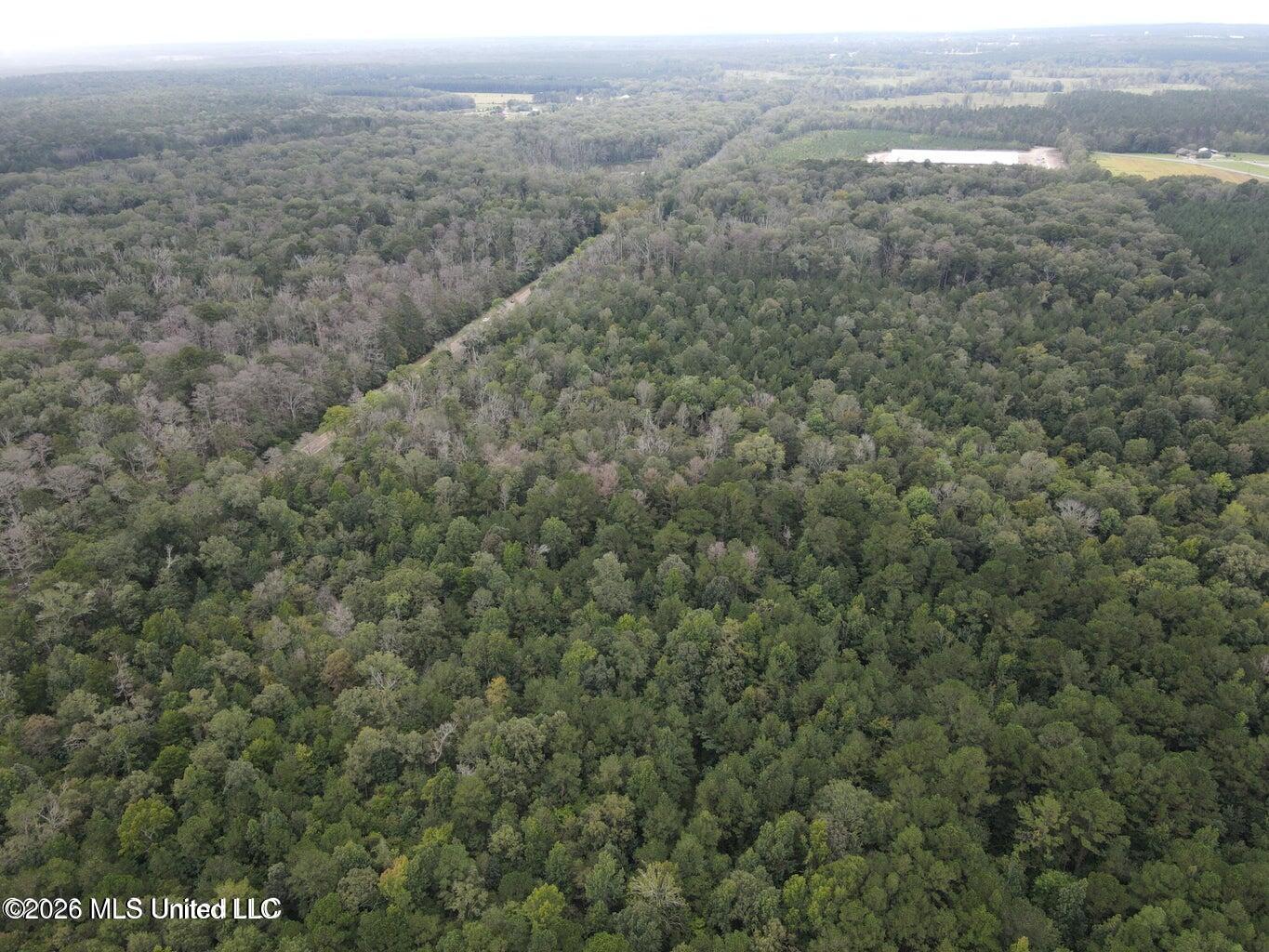 Mississippi 35 Property Photo 16