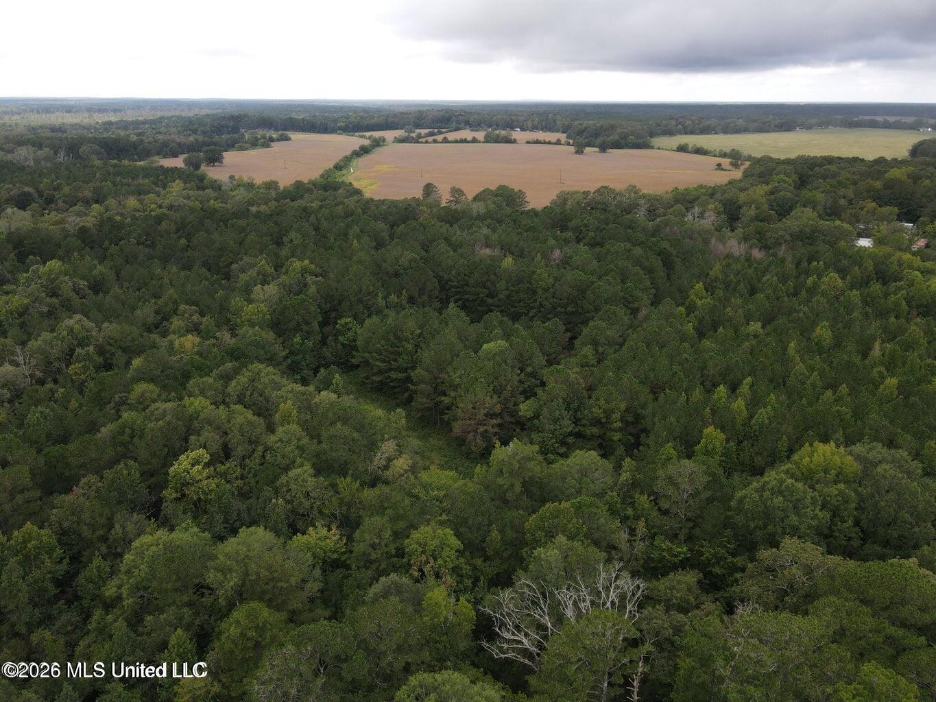 Mississippi 35 Property Photo 17