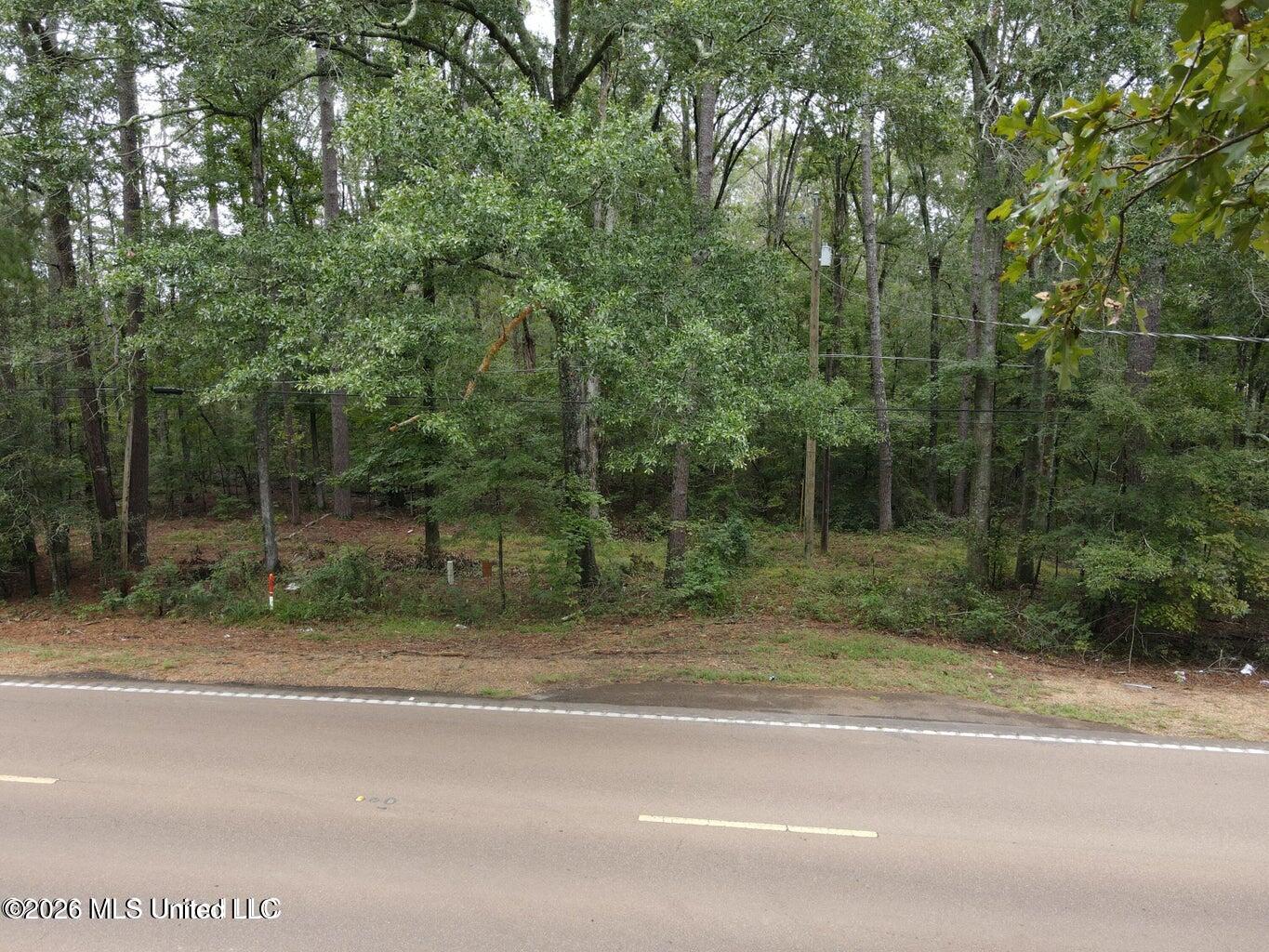 Mississippi 35 Property Photo 23