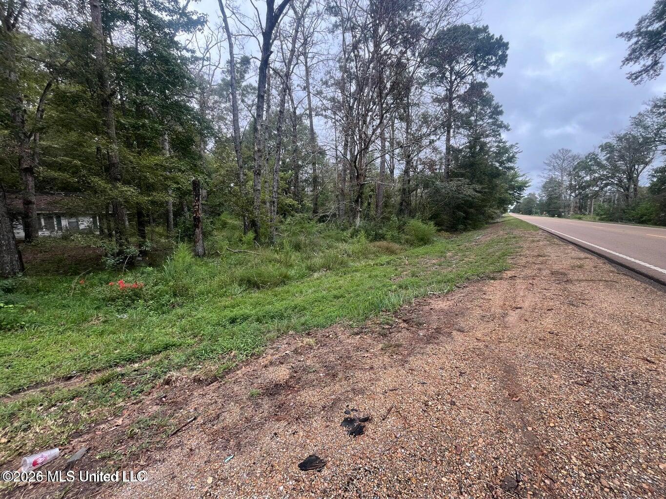 Mississippi 35 Property Photo 35
