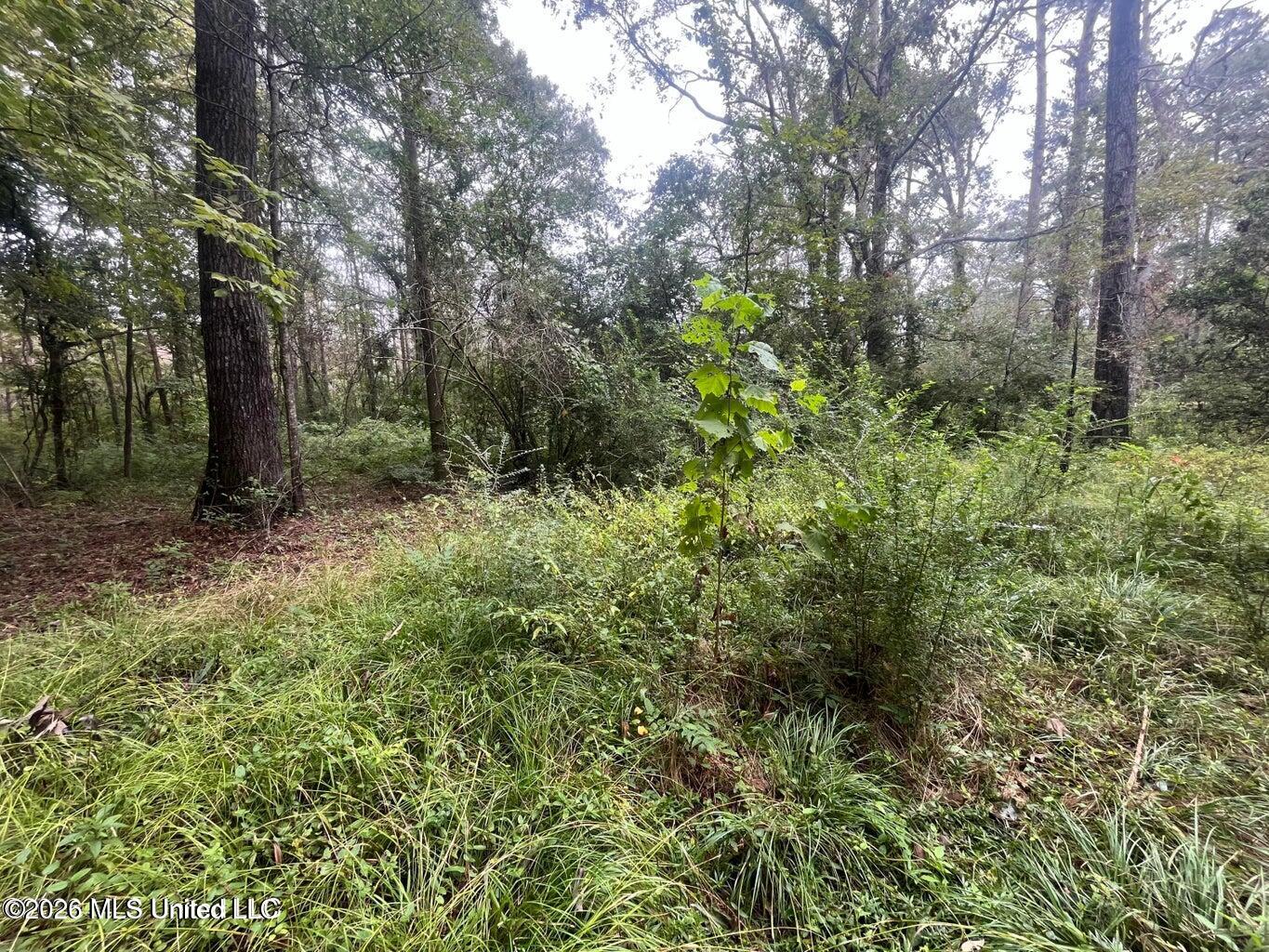 Mississippi 35 Property Photo 40
