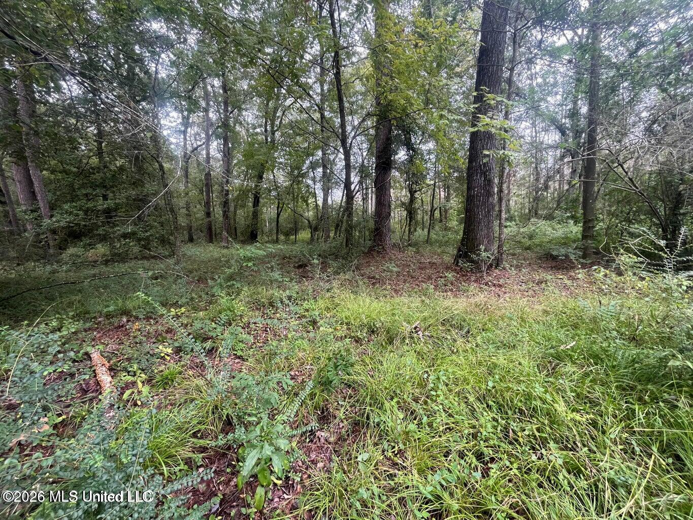 Mississippi 35 Property Photo 41