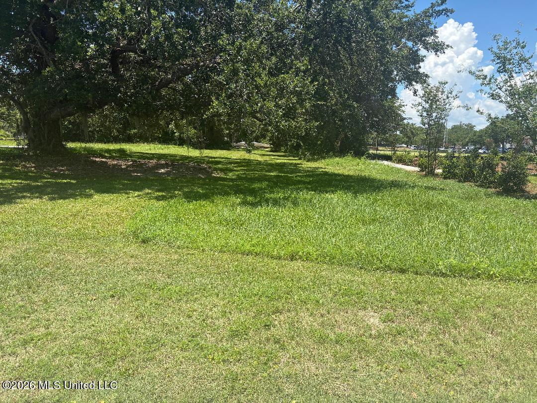 00 Pine Street Property Photo 1