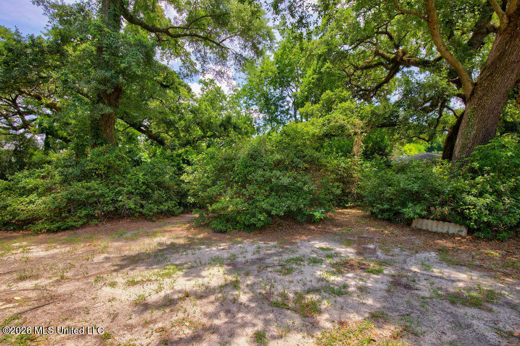 1308 Father Ryan Avenue Property Photo 31