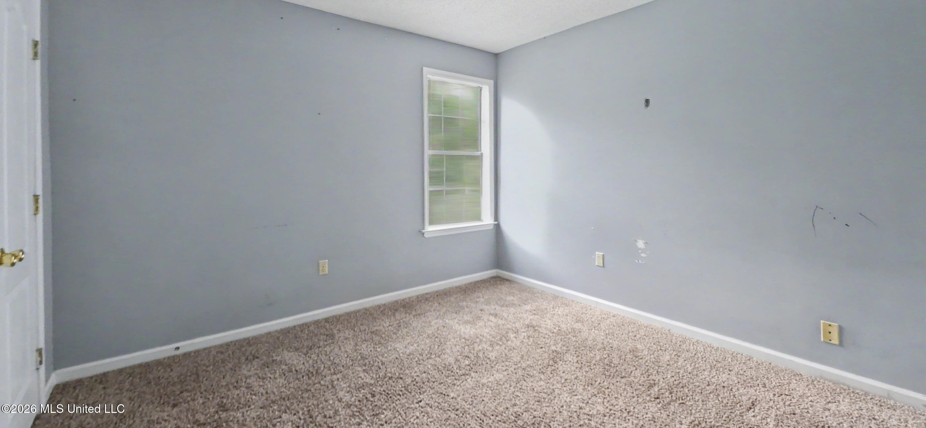 2870 Windsor Cove Property Photo 13
