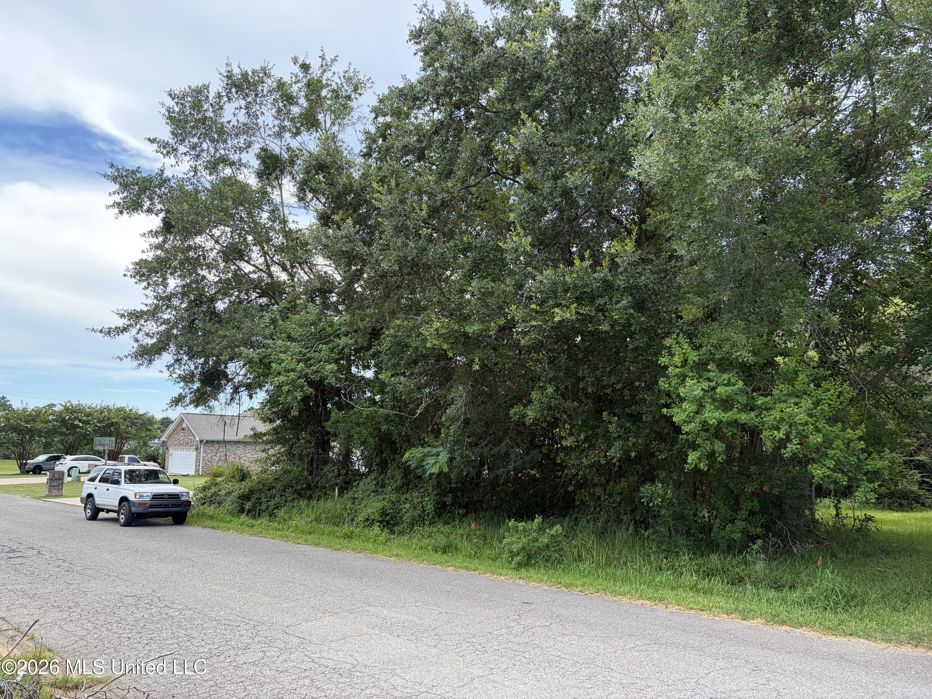 6821 Bienville Drive Property Photo 4