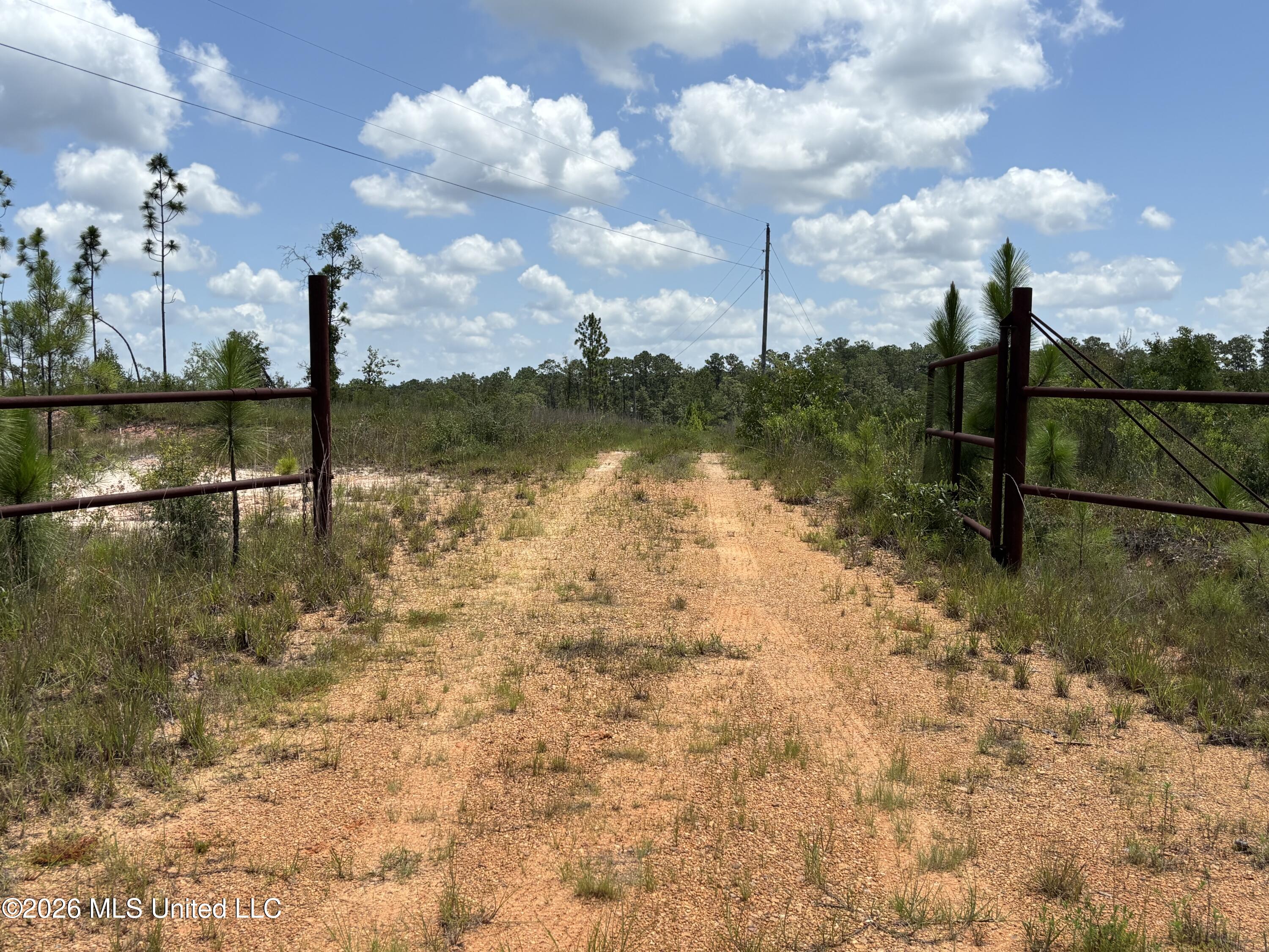 196 S County Line Road Property Photo 5
