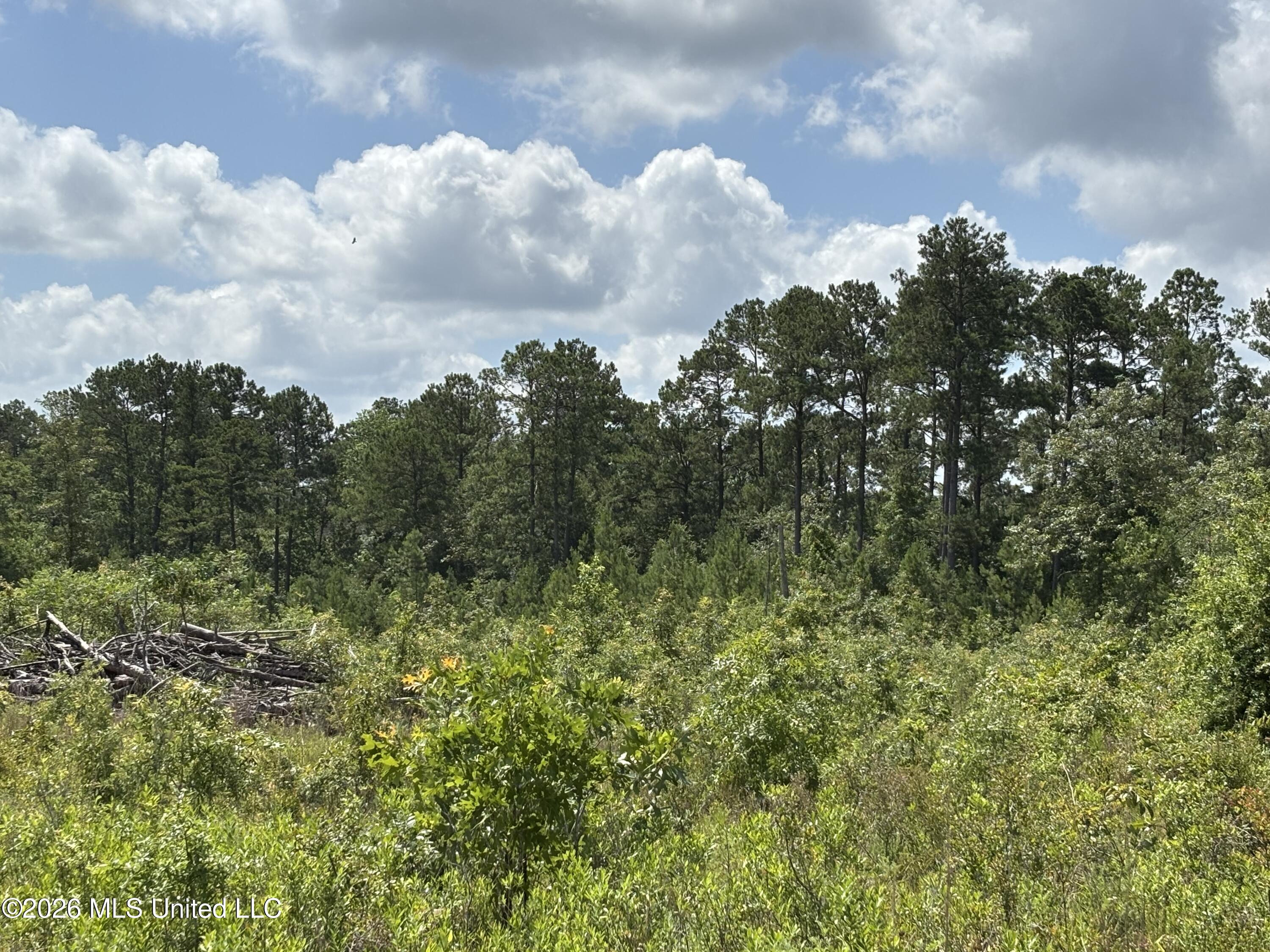 196 S County Line Road Property Photo 6