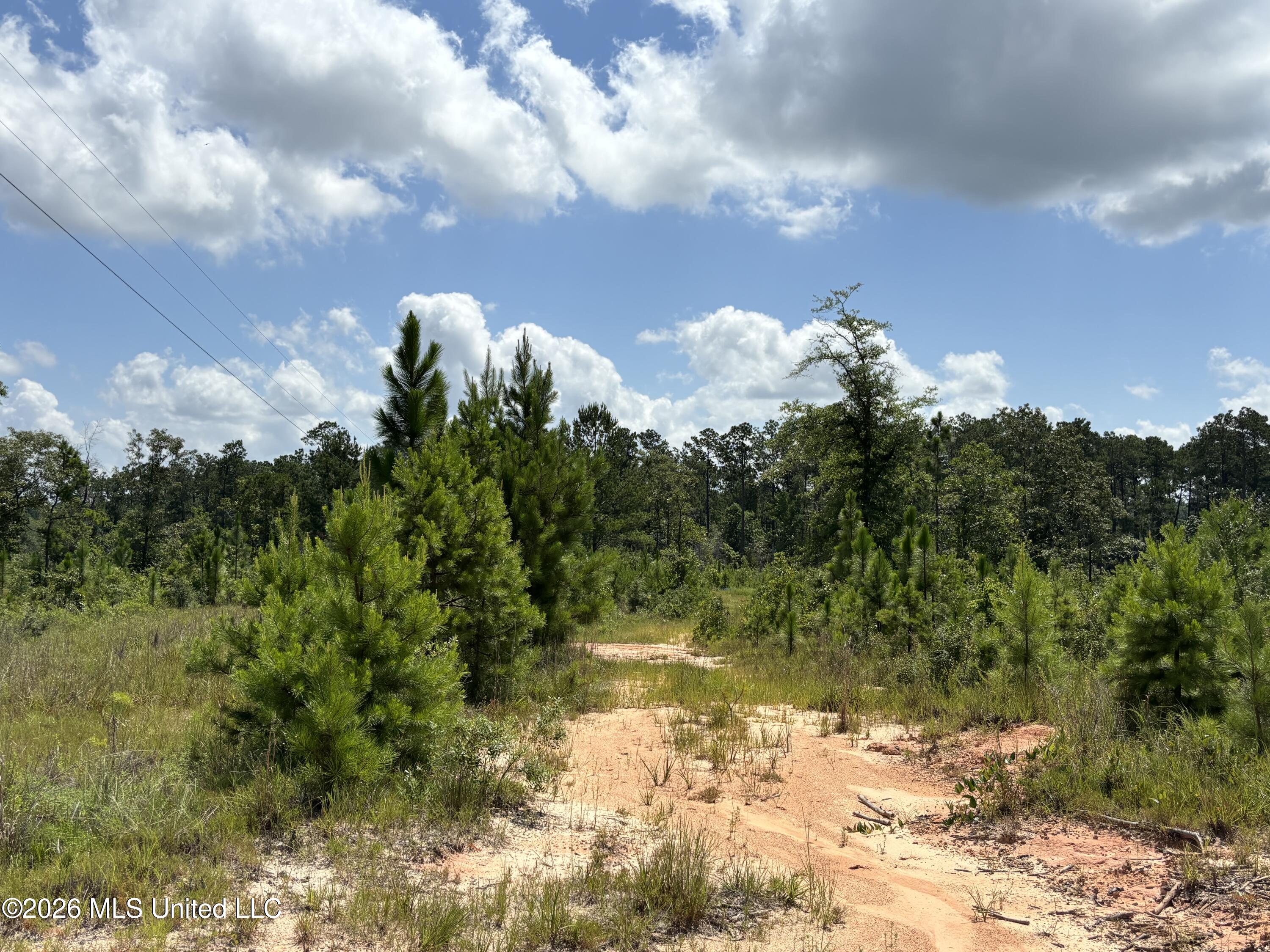 196 S County Line Road Property Photo 7
