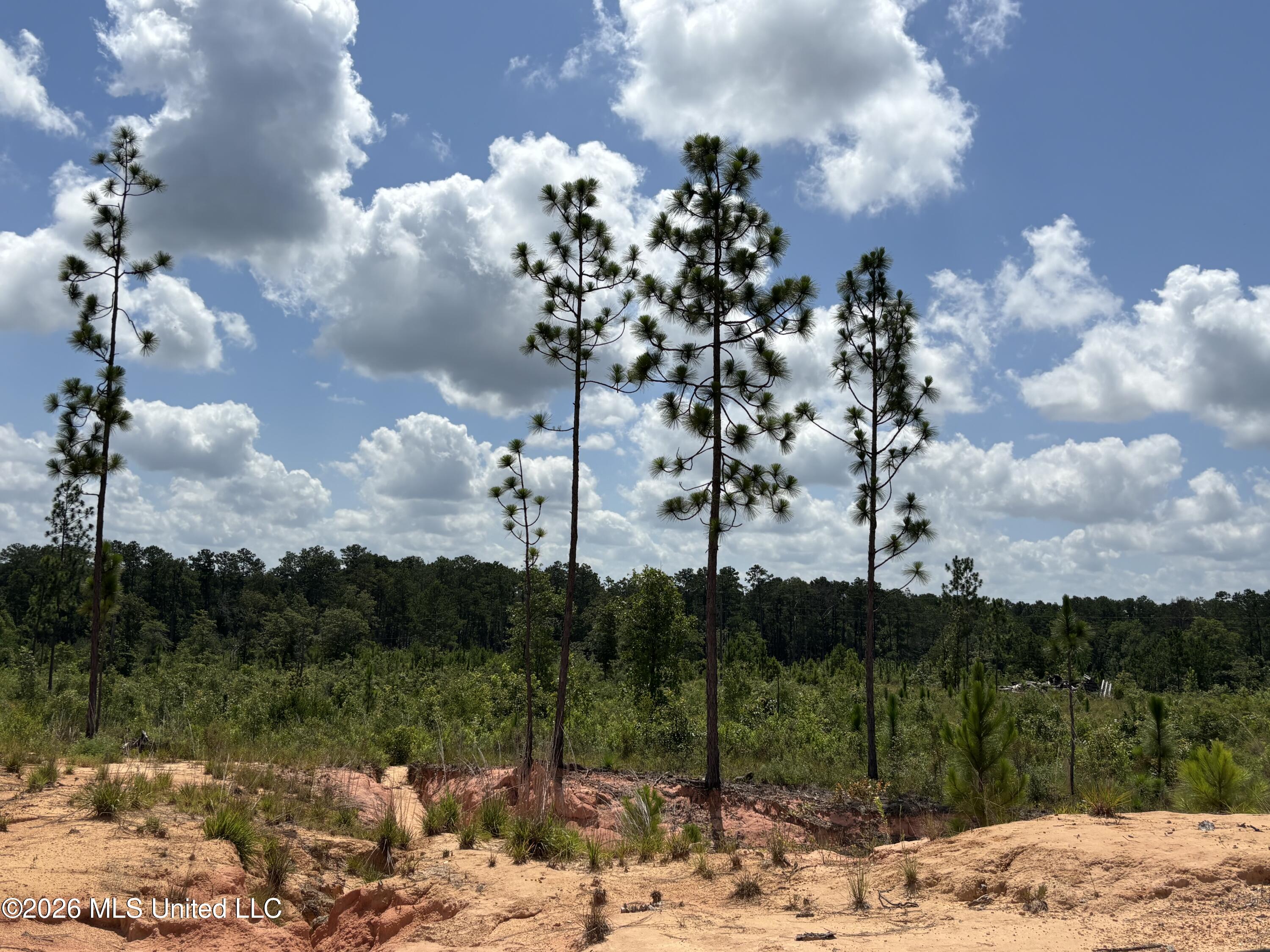 196 S County Line Road Property Photo 10