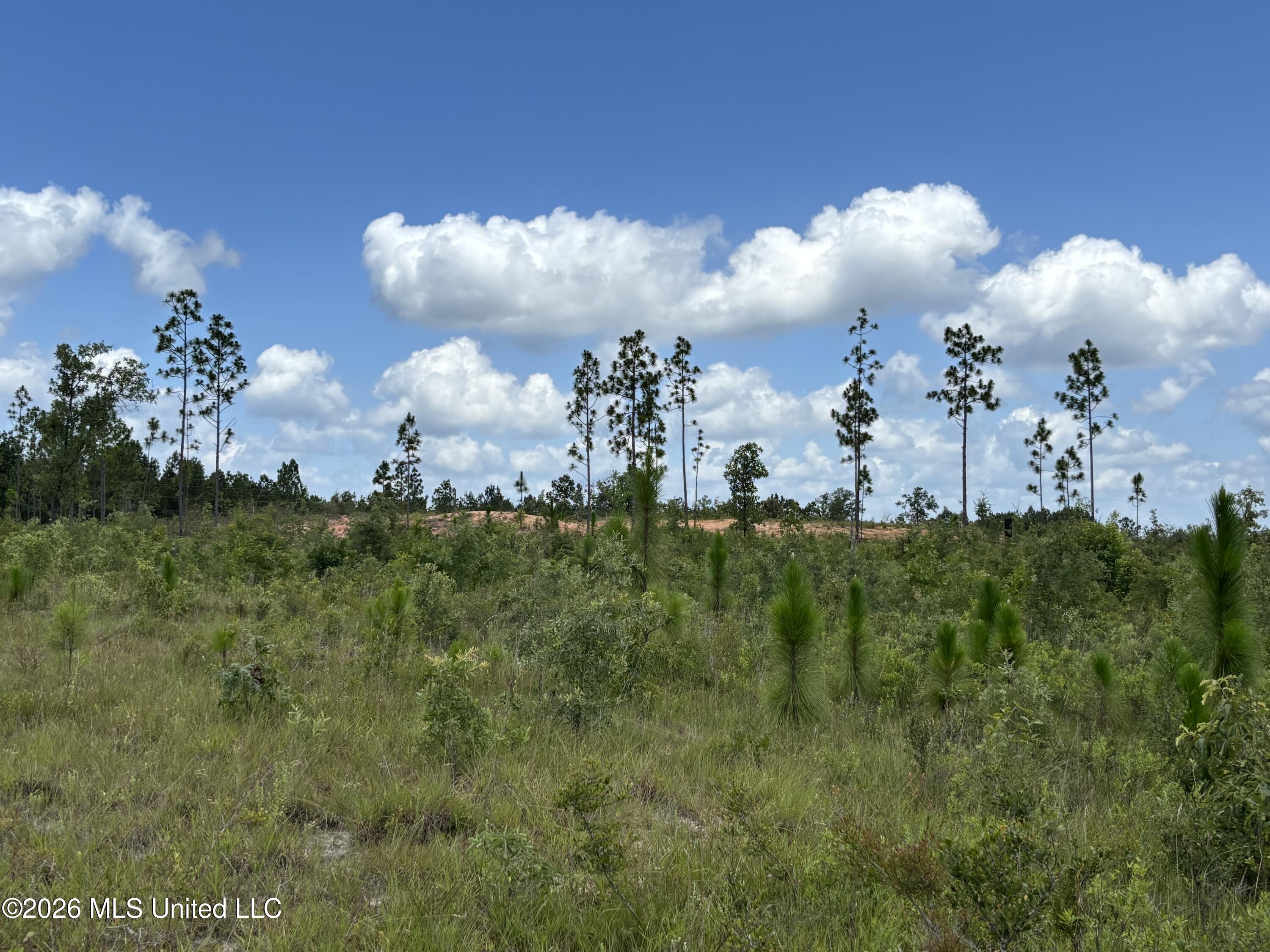196 S County Line Road Property Photo 11