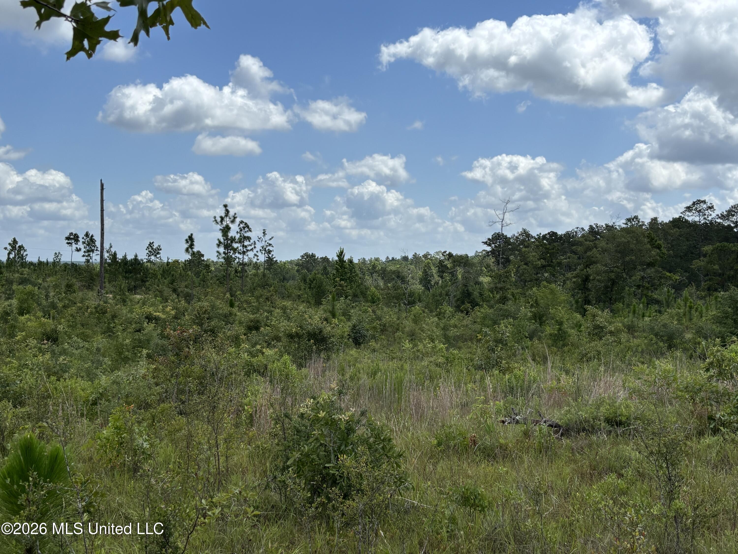 196 S County Line Road Property Photo 12
