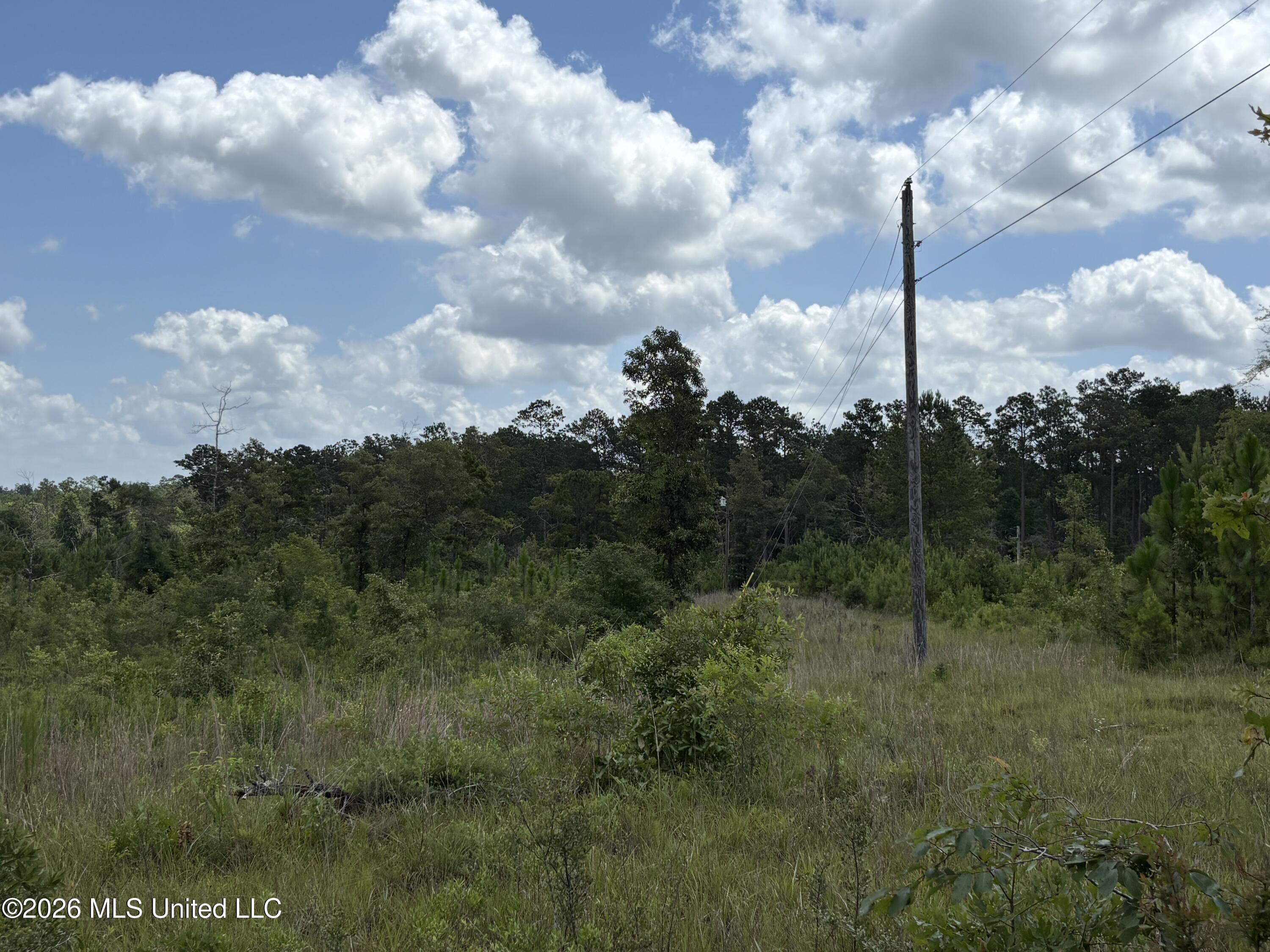 196 S County Line Road Property Photo 13