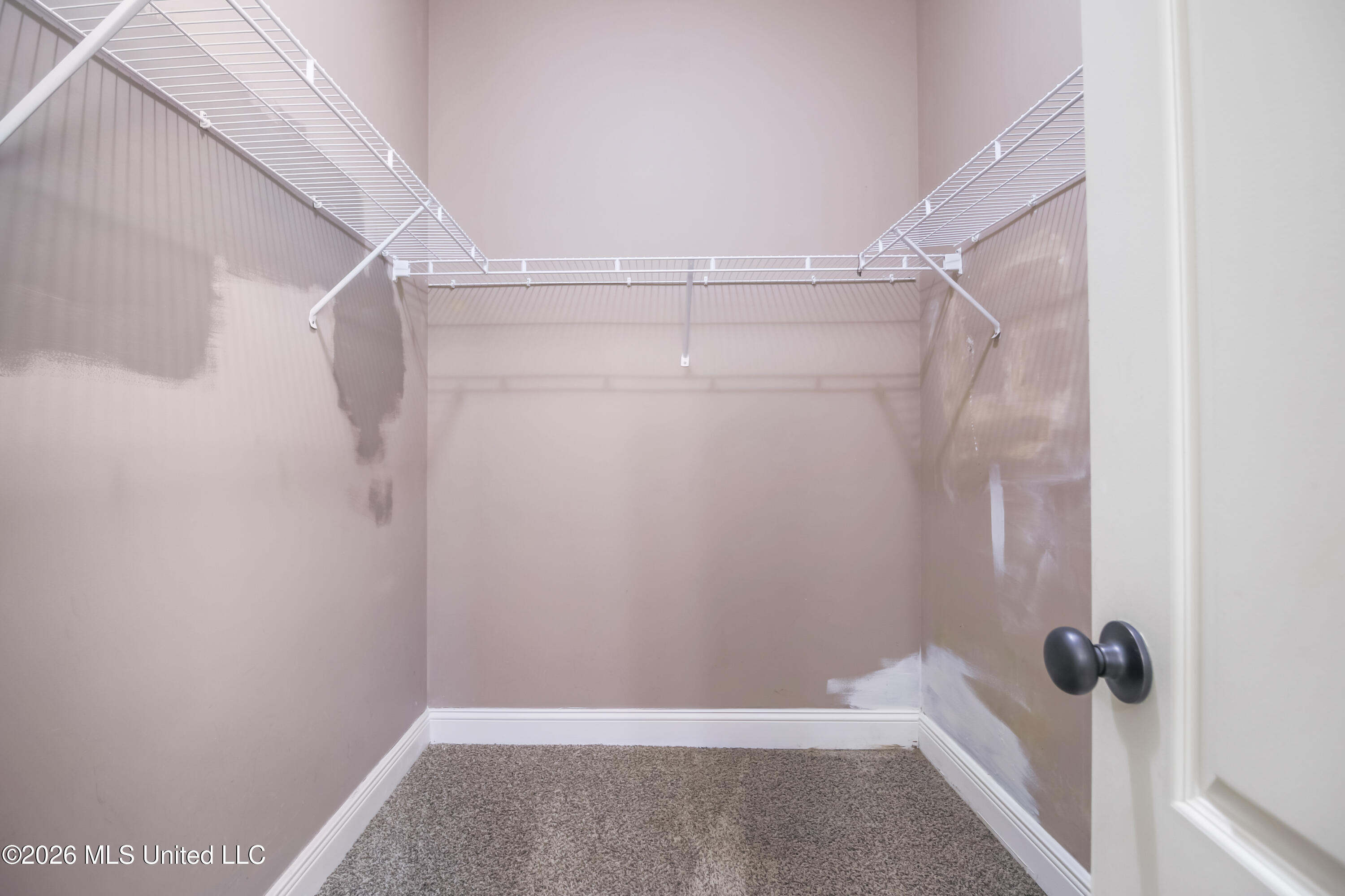 8308 Clamshell Avenue Property Photo 26