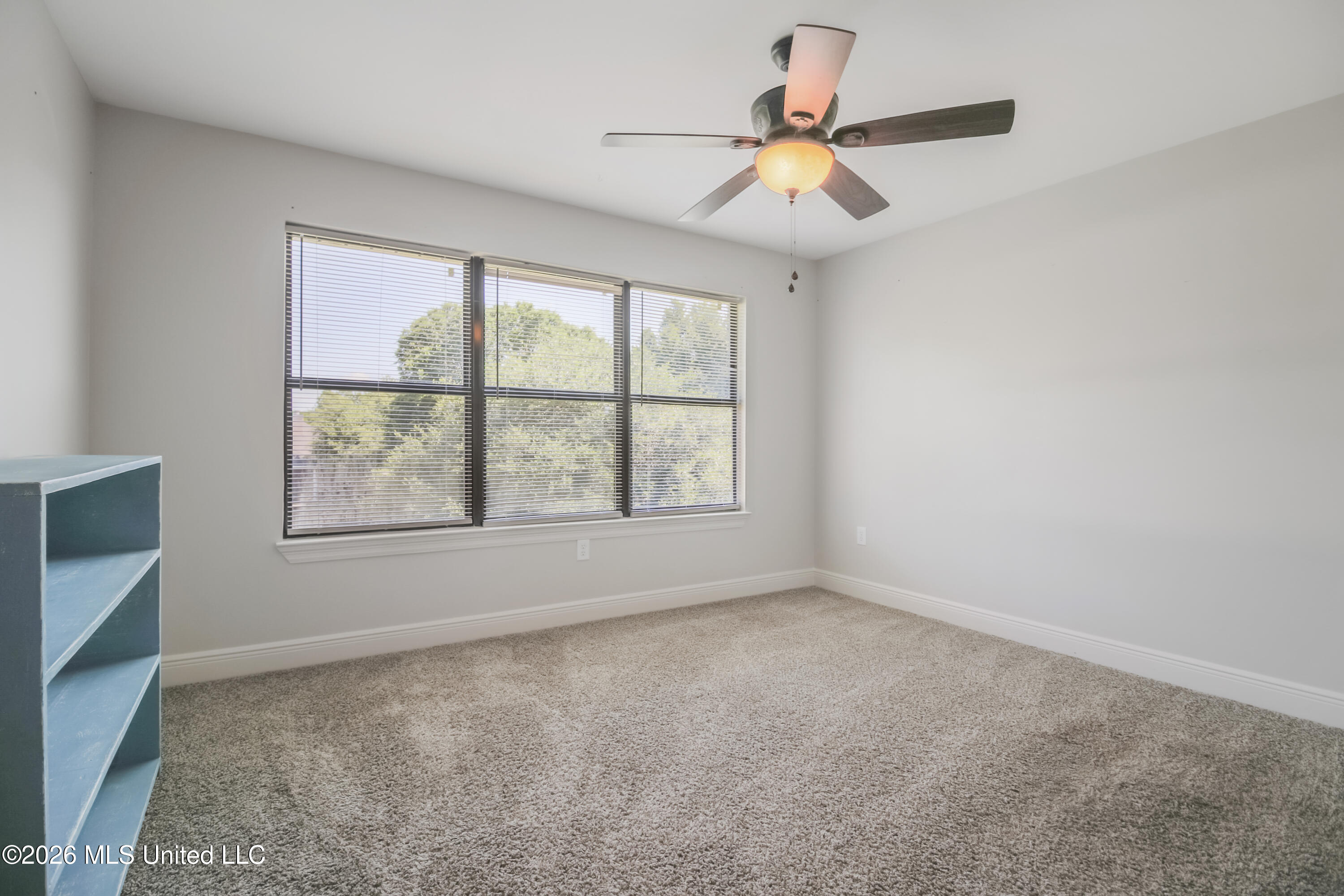 8308 Clamshell Avenue Property Photo 34