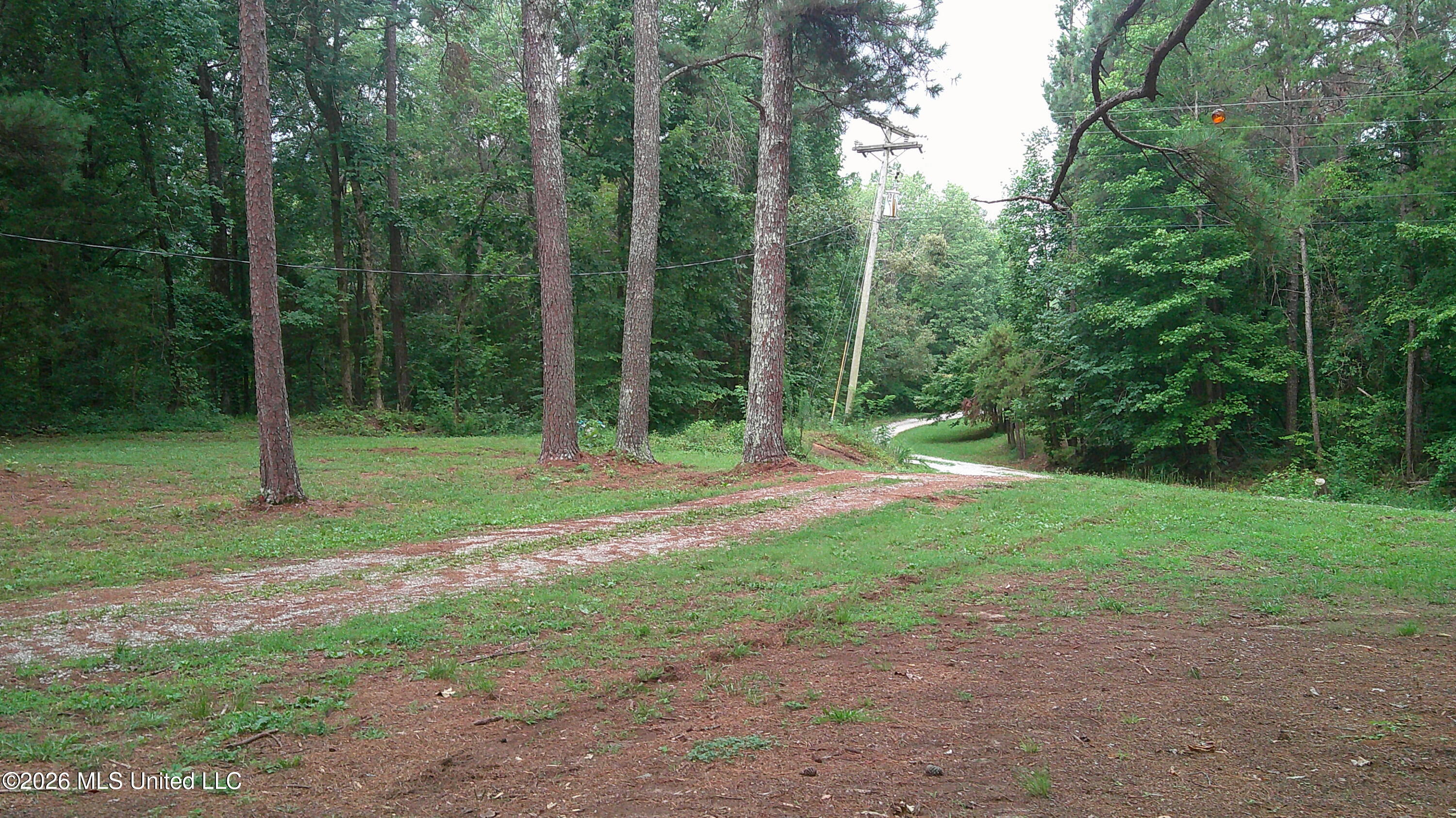 4580 County Road 701 Property Photo 2