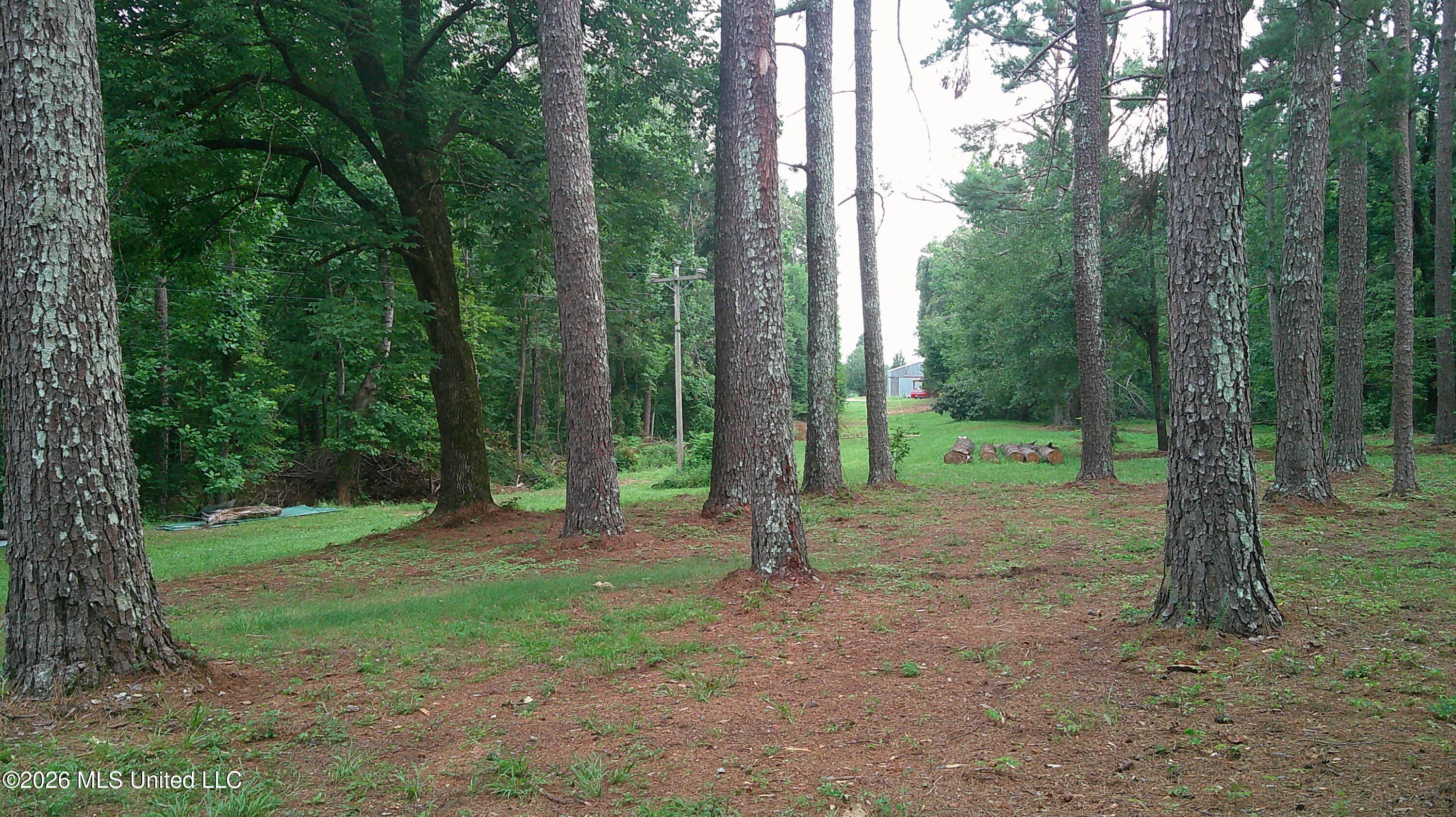 4580 County Road 701 Property Photo 3