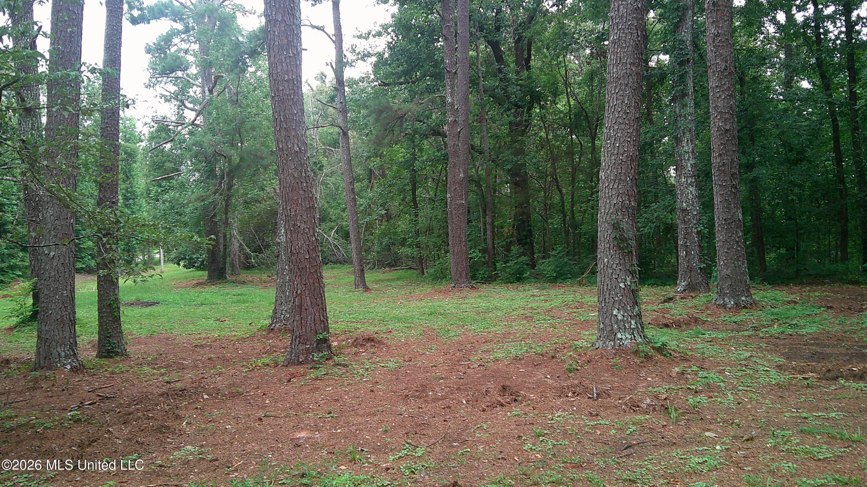 4580 County Road 701 Property Photo 7