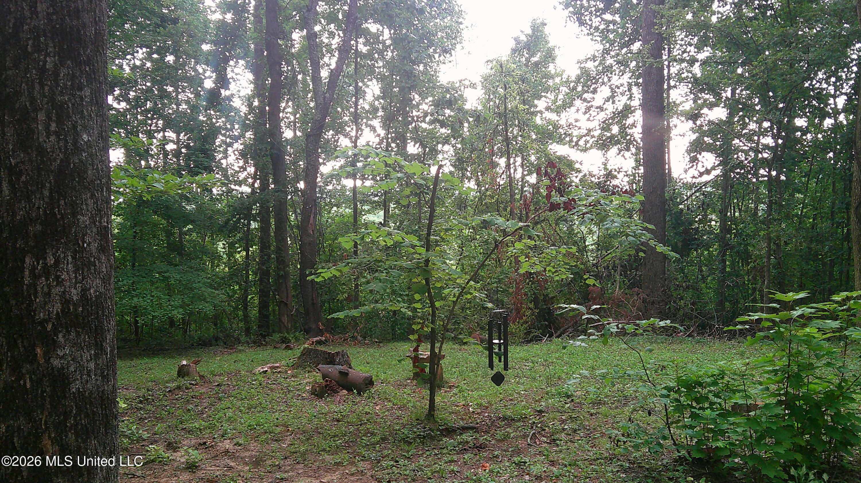 4580 County Road 701 Property Photo 9