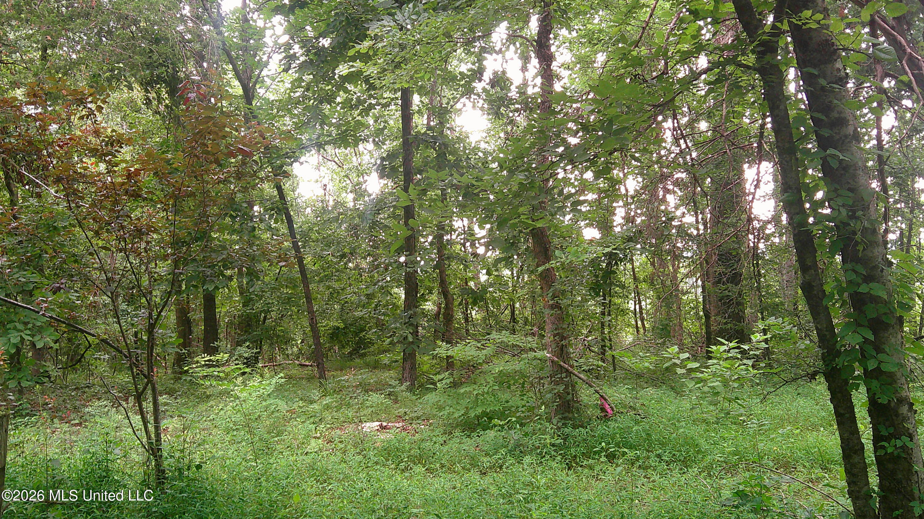 4580 County Road 701 Property Photo 14