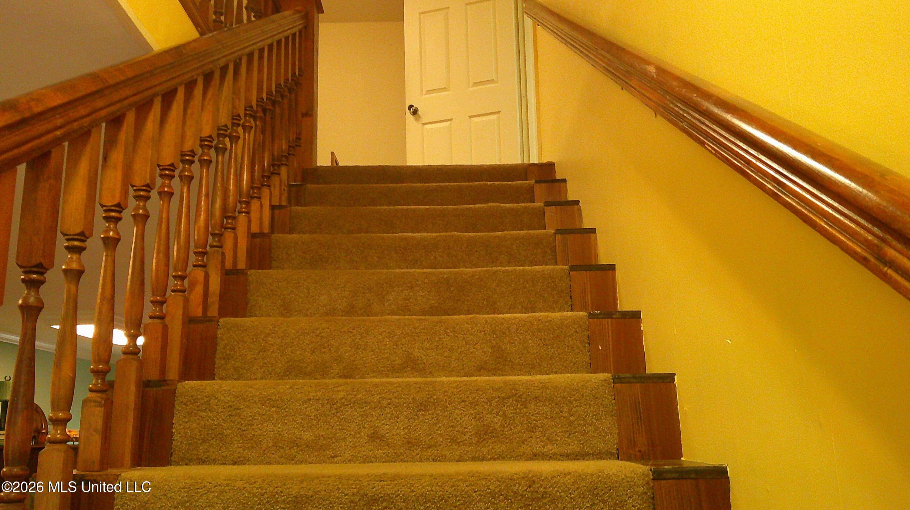 4580 County Road 701 Property Photo 25