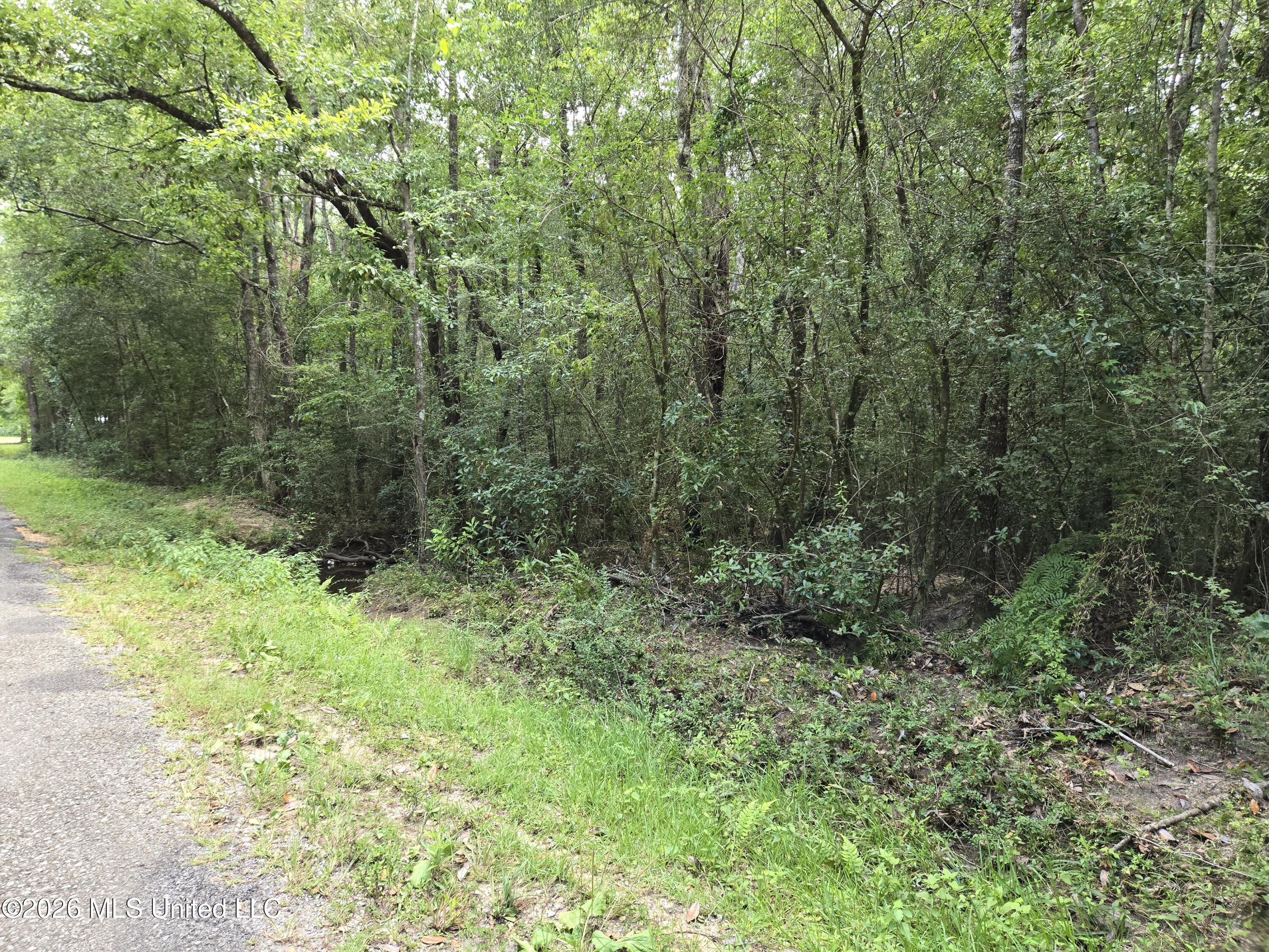 0 Redwood Drive Property Photo 3