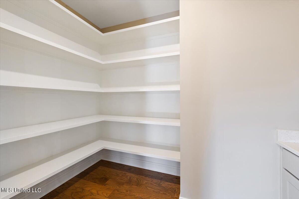 7548 Thomas Riley Street Property Photo 14