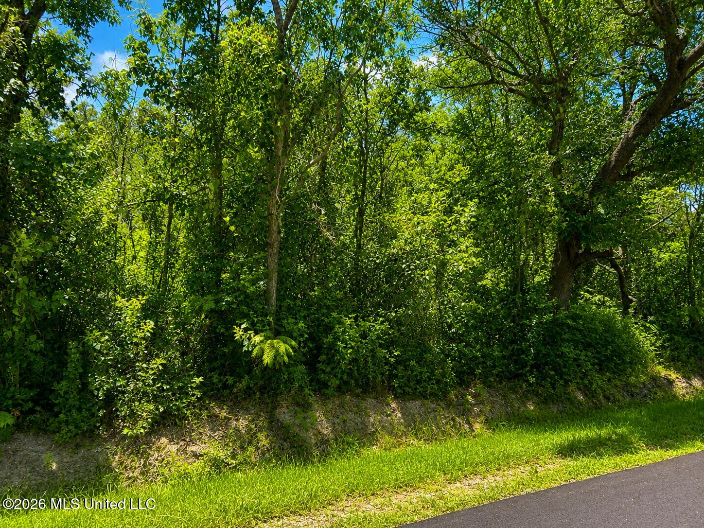 11011 Heron Street Property Photo 1